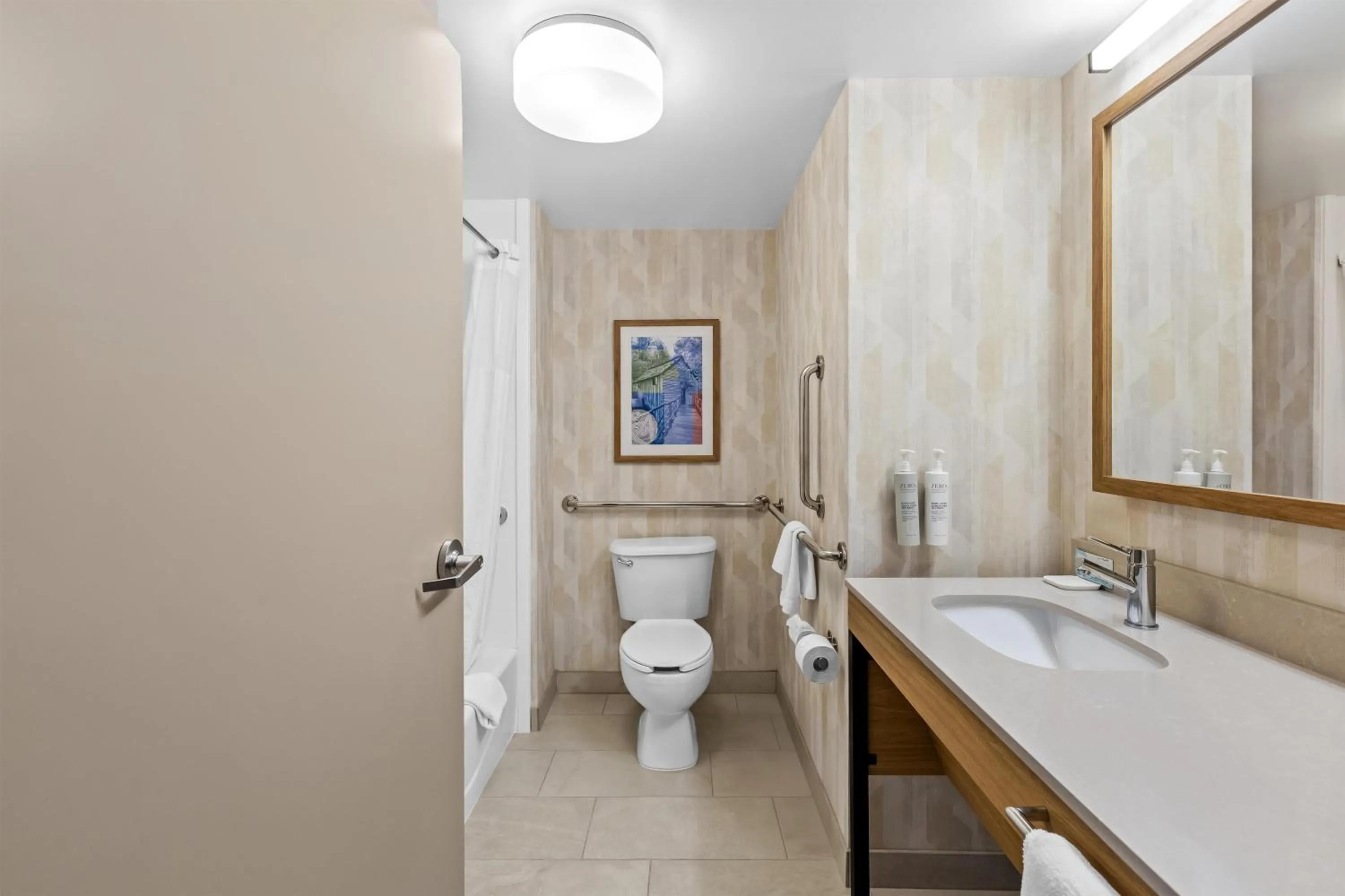 Bathroom in Hampton Inn Carrollton