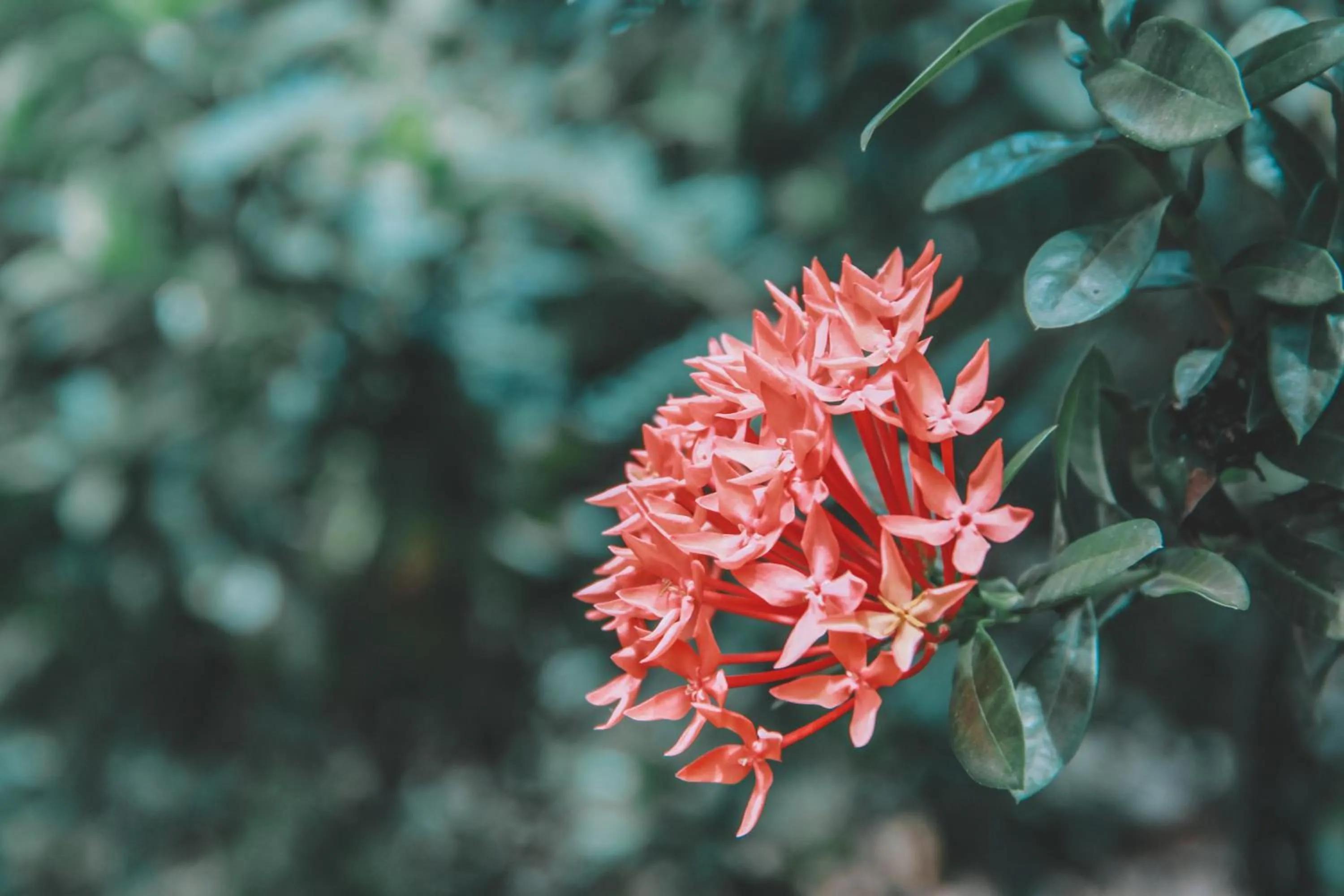 Property building in Akchanok Homestay