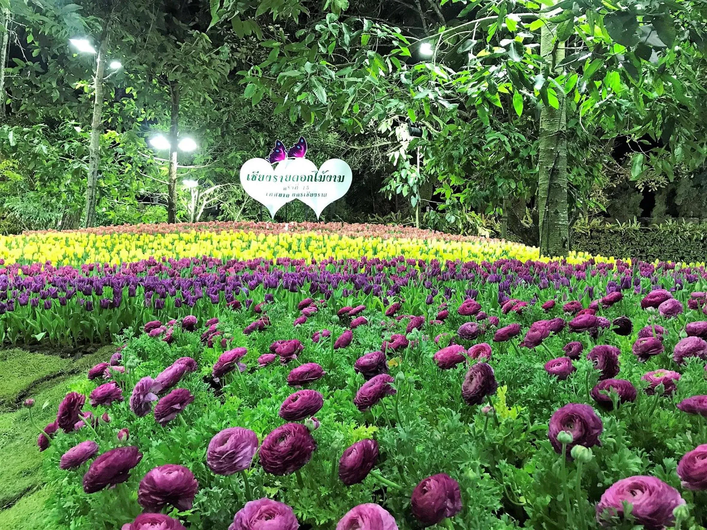 Nearby landmark in Bann Tawan Hostel Chiang Rai