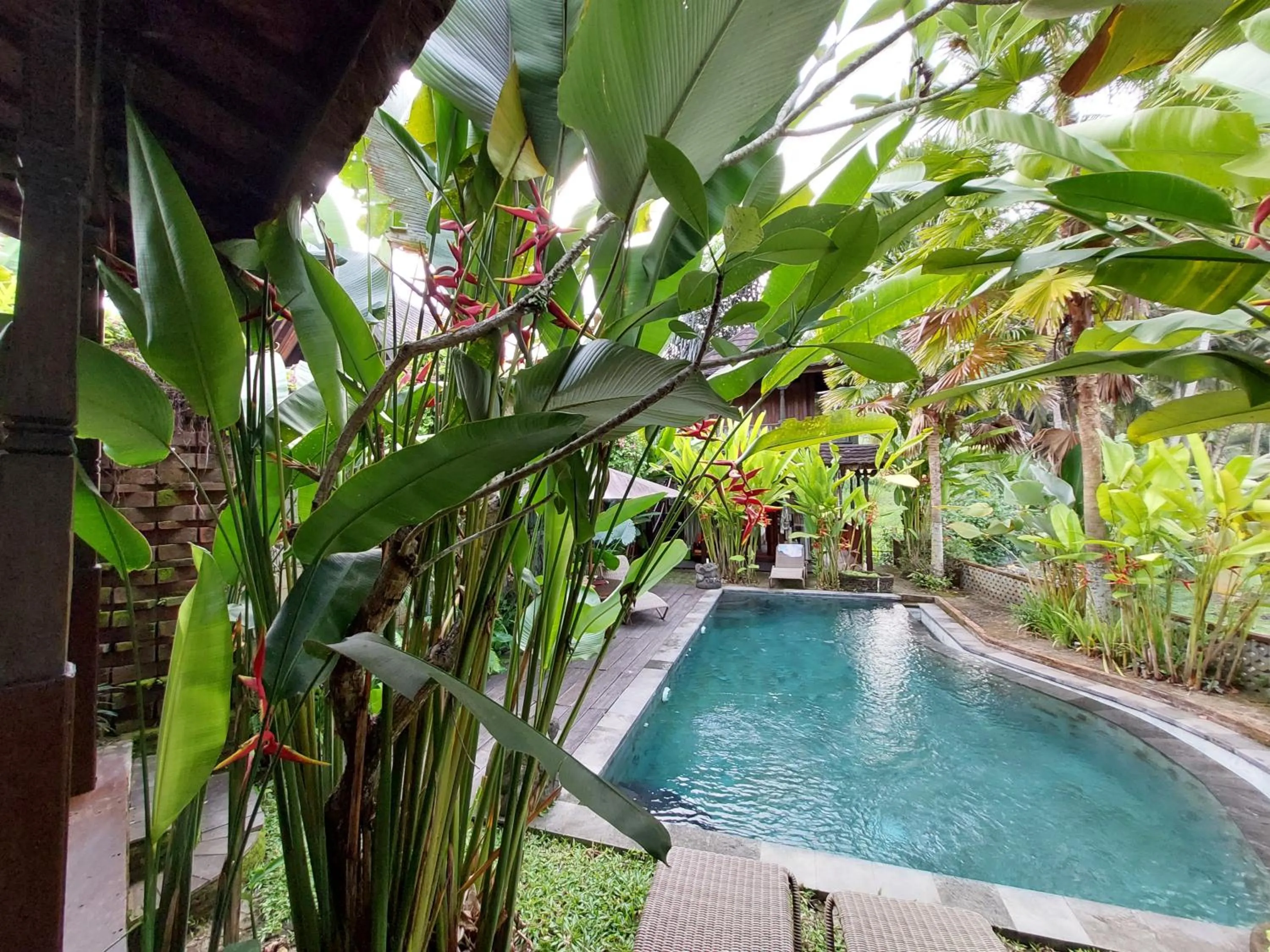 Swimming pool in Gusde Tranquil Villas by EPS