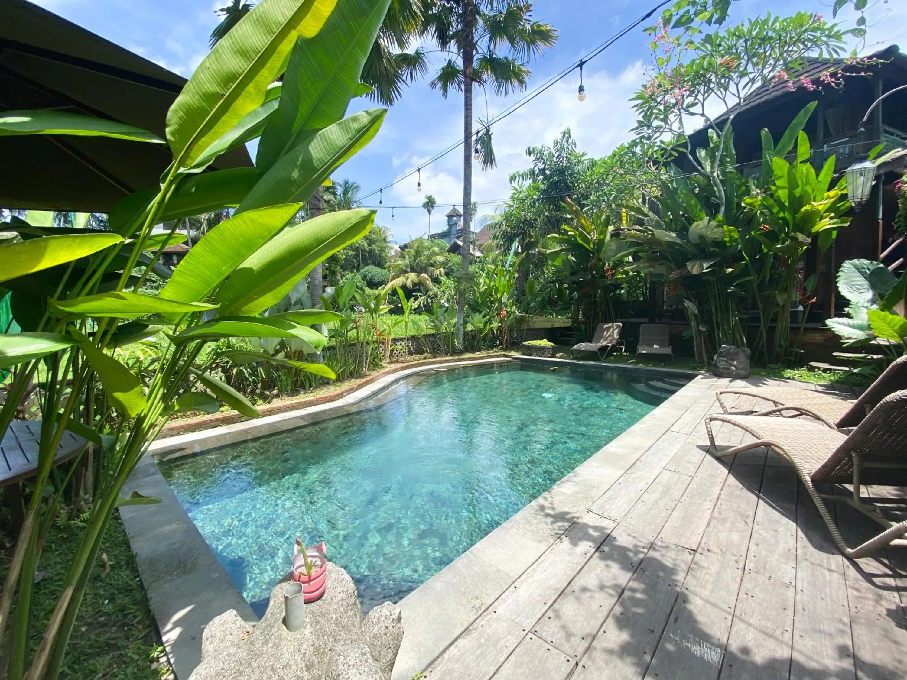 Pool view in Gusde Tranquil Villas by EPS