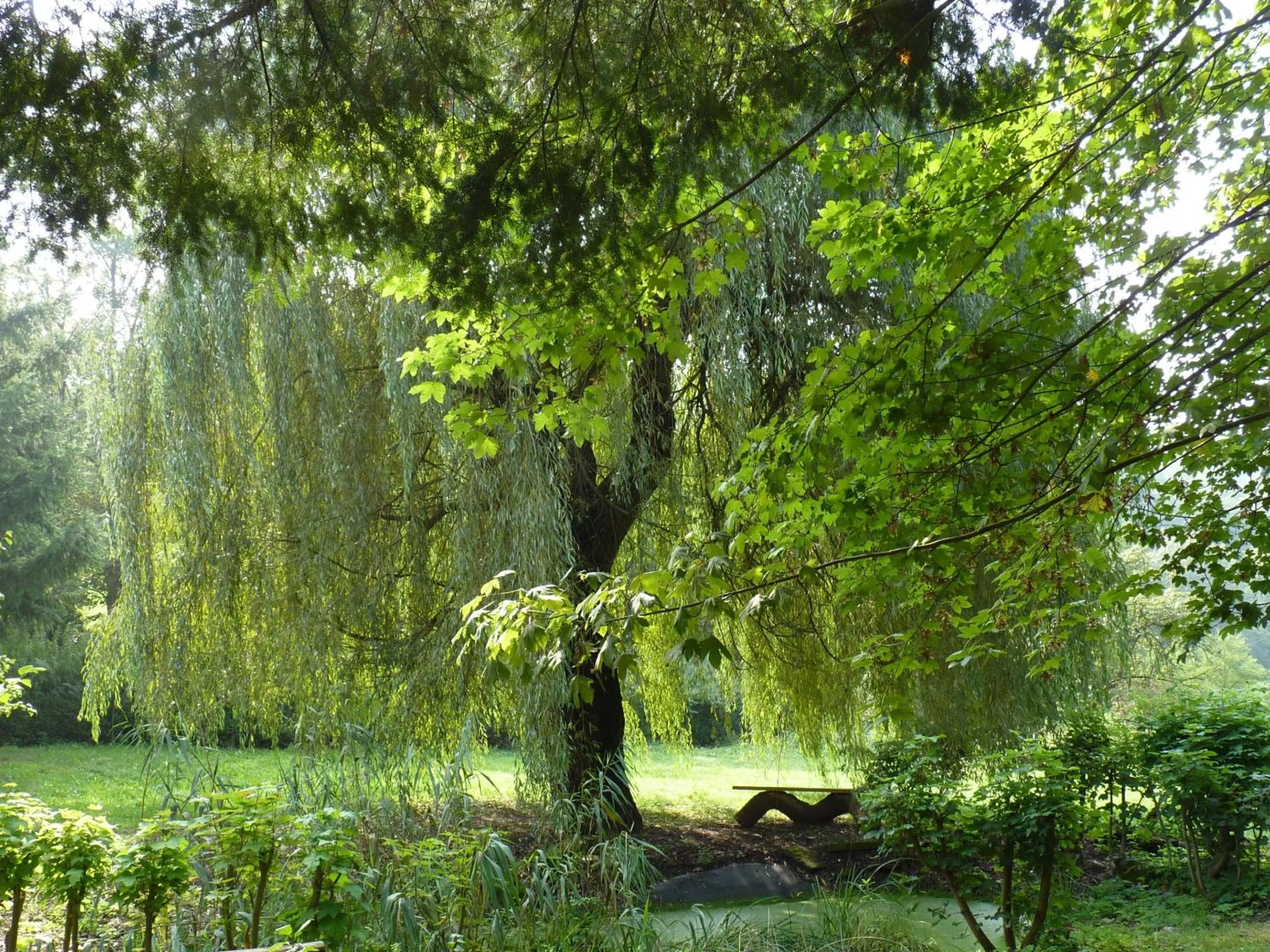 Property building in Hotel & Restaurant Schloss Weißenburg