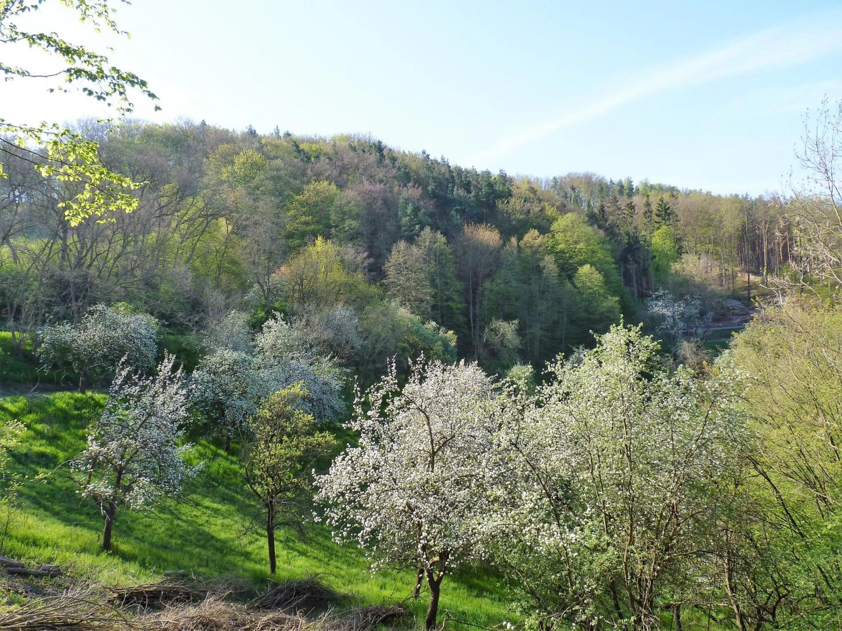 Property building in Hotel & Restaurant Schloss Weißenburg