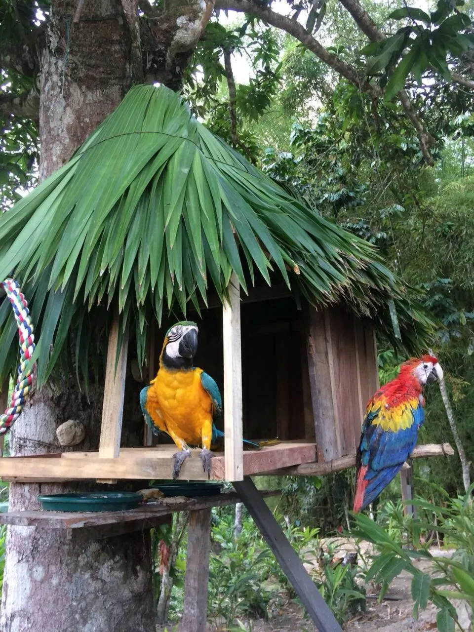 Patio in Reserva Natural Tierra Adentro