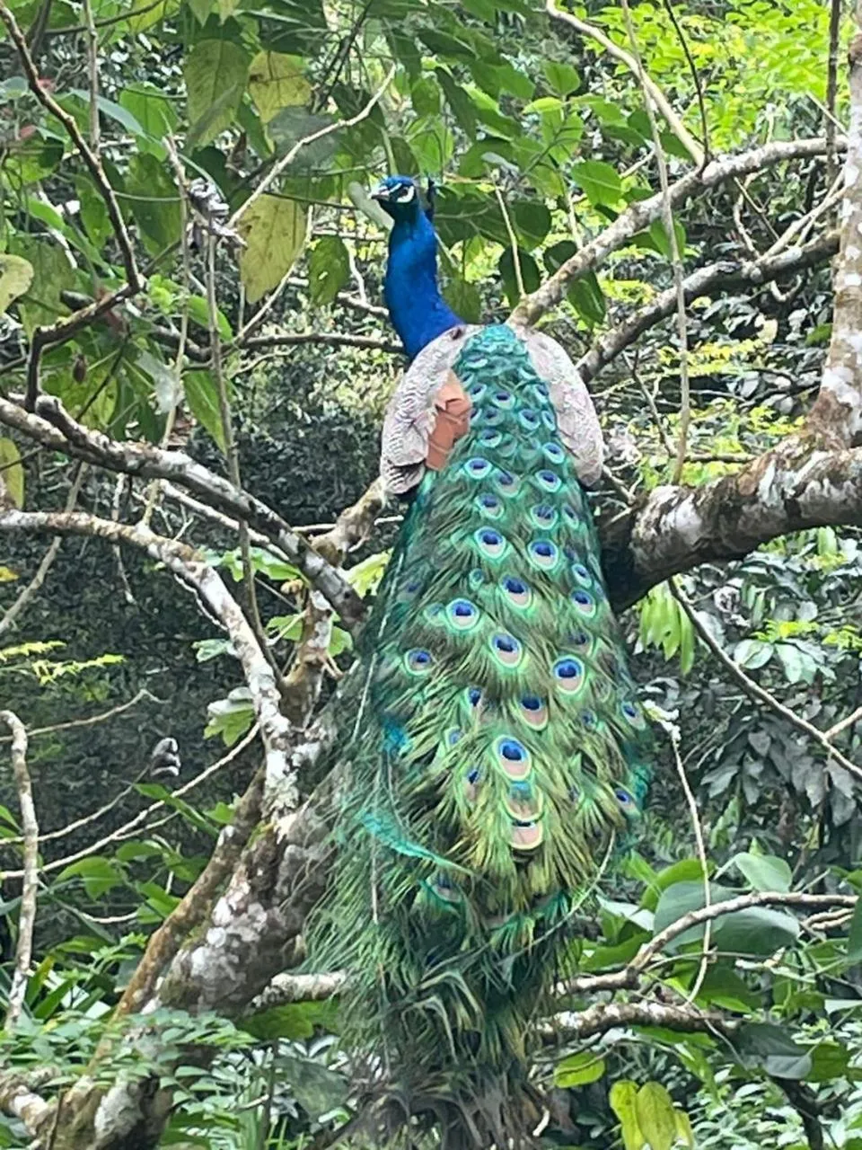 Activities in Reserva Natural Tierra Adentro