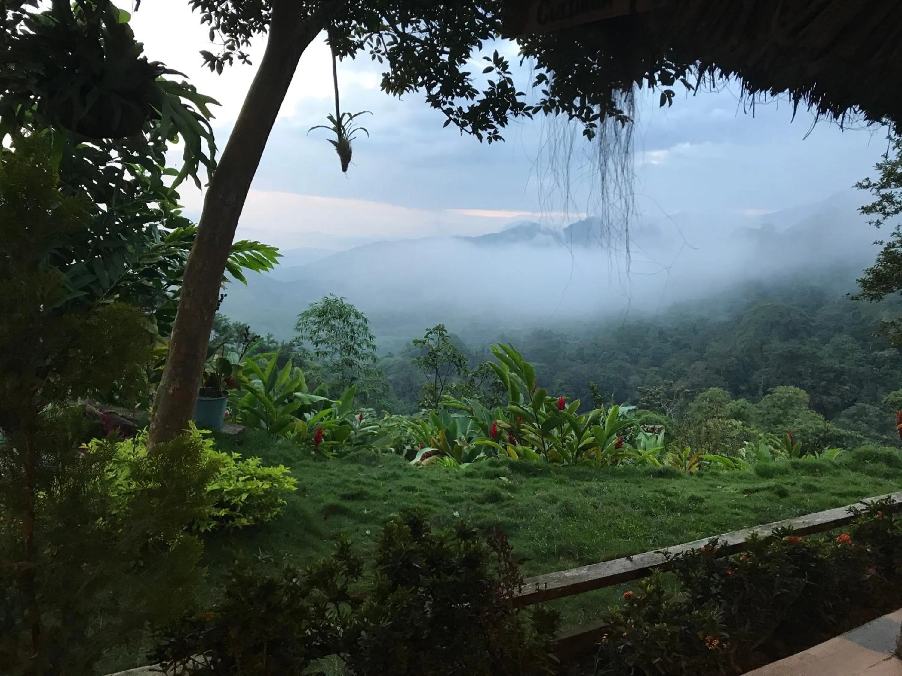 Natural landscape in Reserva Natural Tierra Adentro