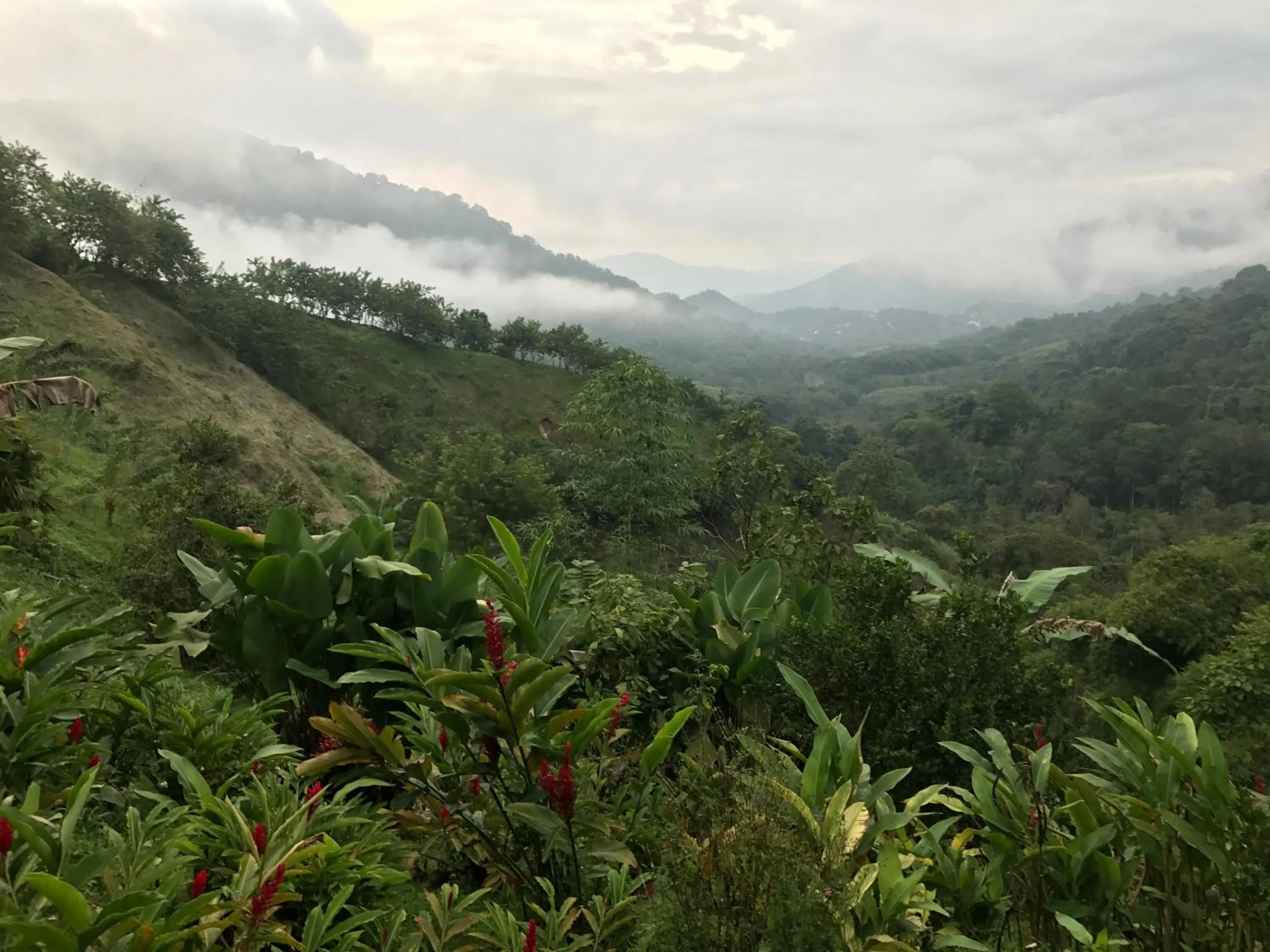 Garden in Reserva Natural Tierra Adentro