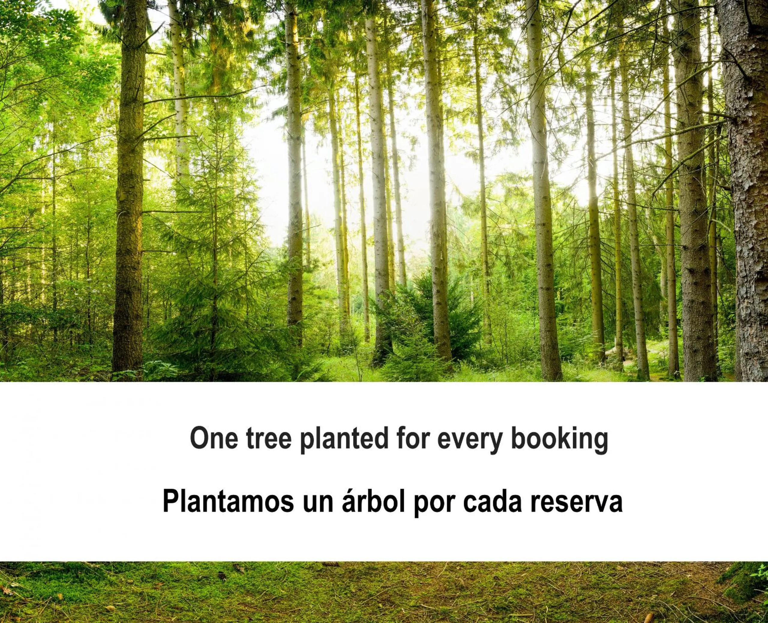 Decorative detail in Fidalsa Relax Pool & BBQ