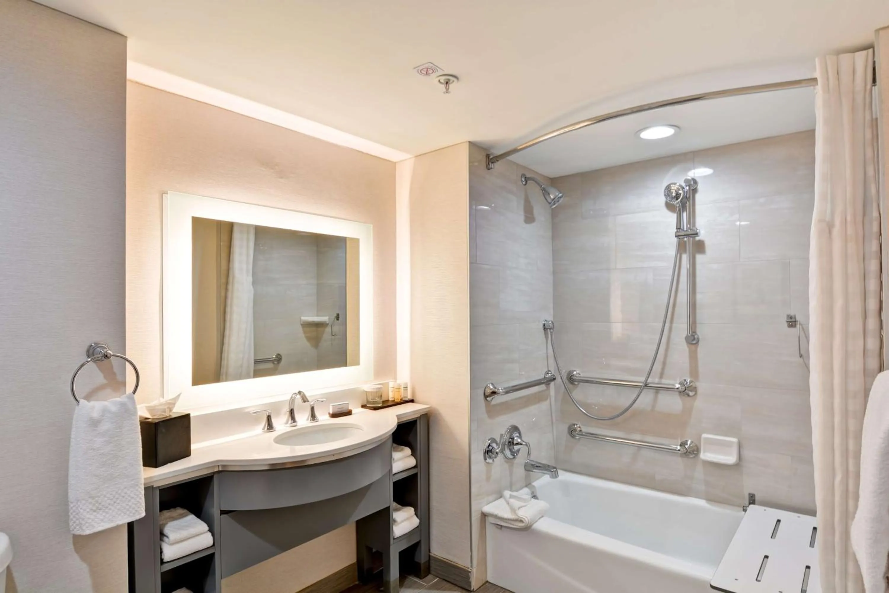 Bathroom in Embassy Suites by Hilton Orlando Downtown