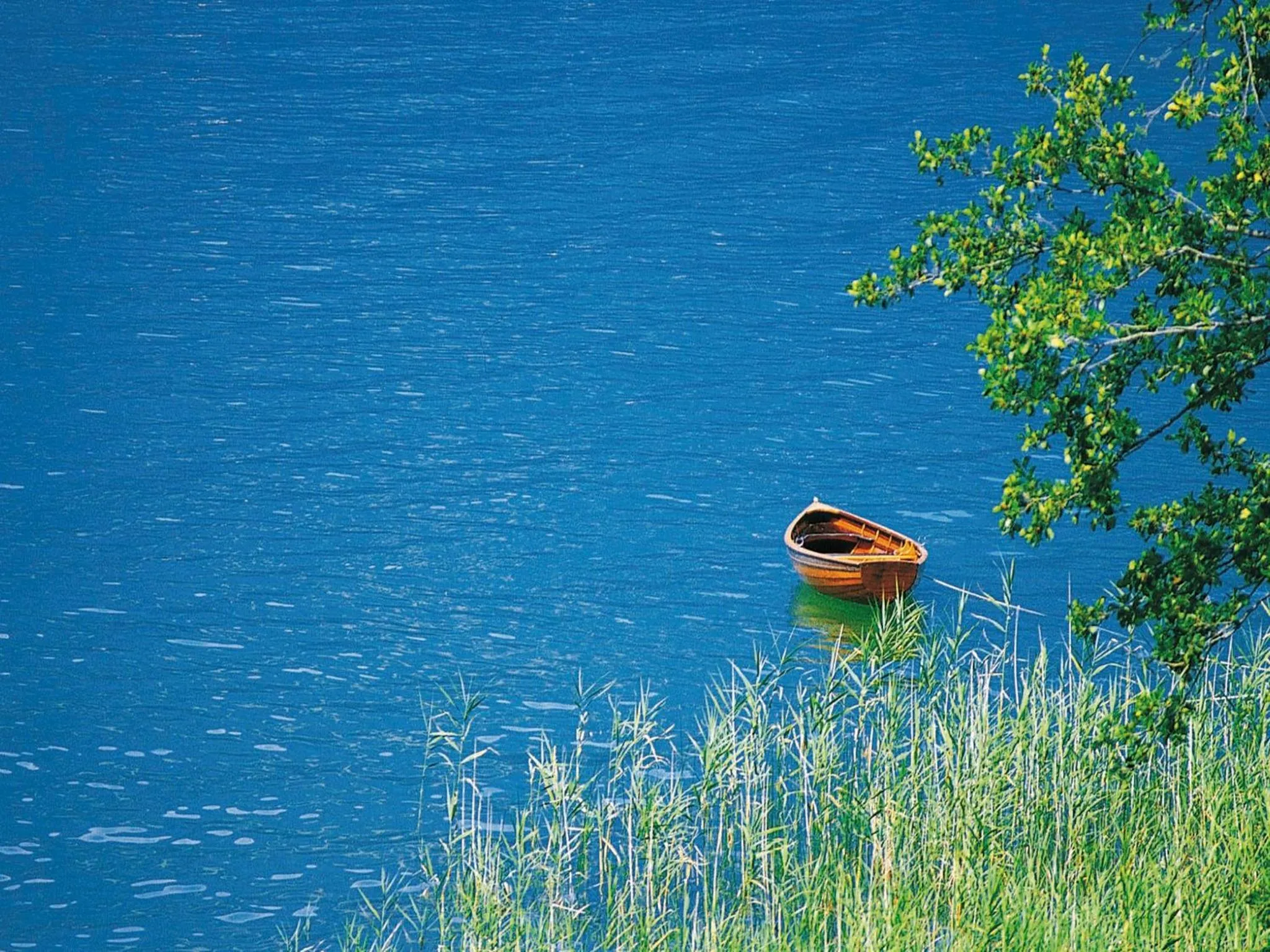 Natural landscape in Hotel Diana