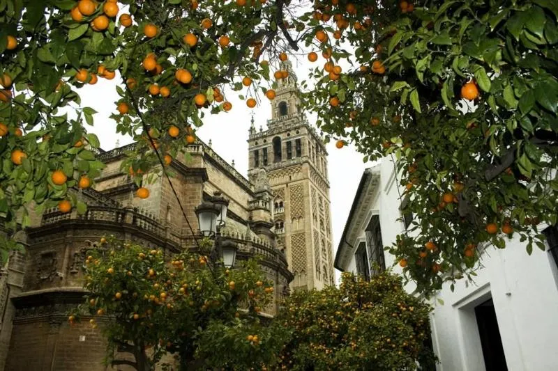 Activities in Pensión La Montoreña