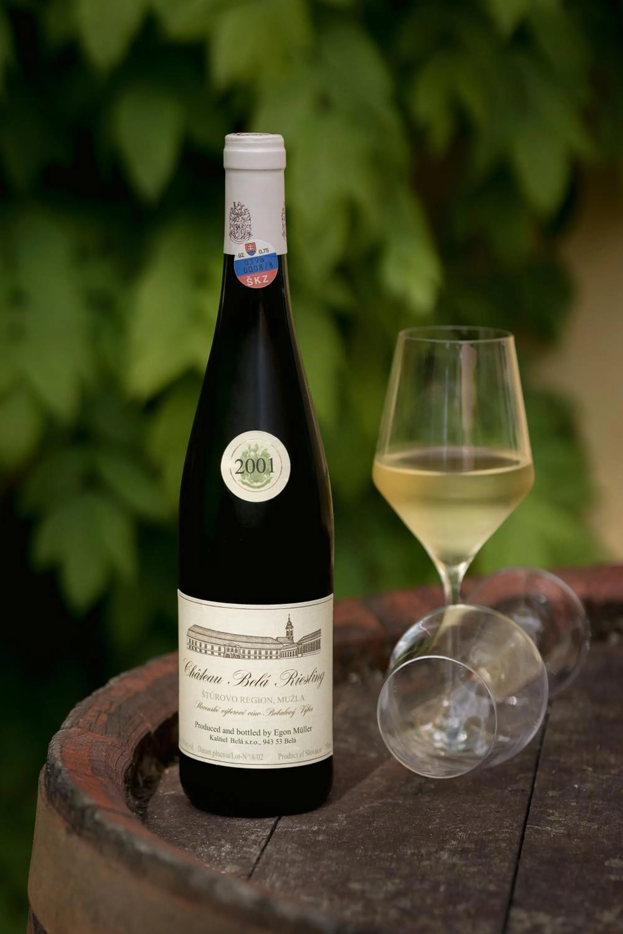 Food and drinks in Hotel Château Bela