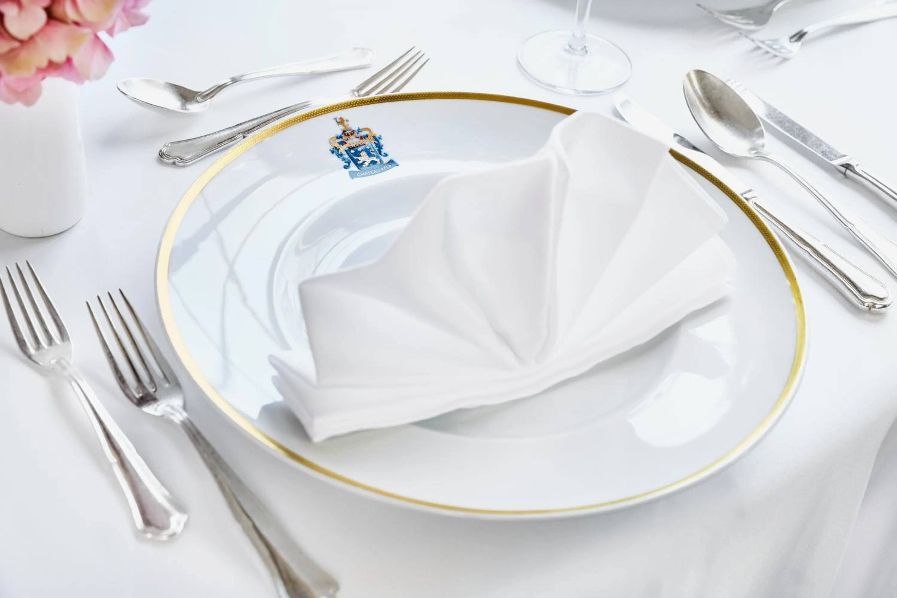 Food and drinks in Hotel Château Bela