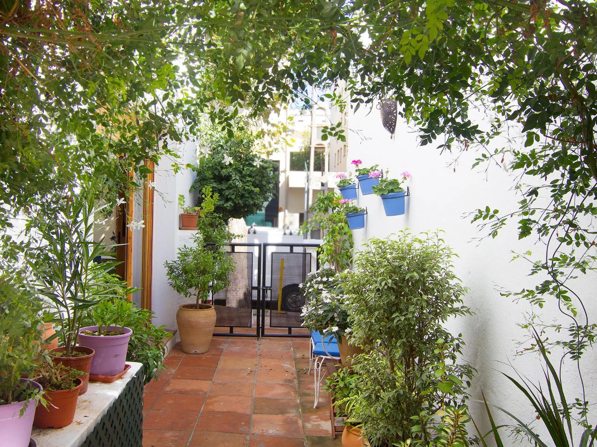 Patio in Hotel Finlandia