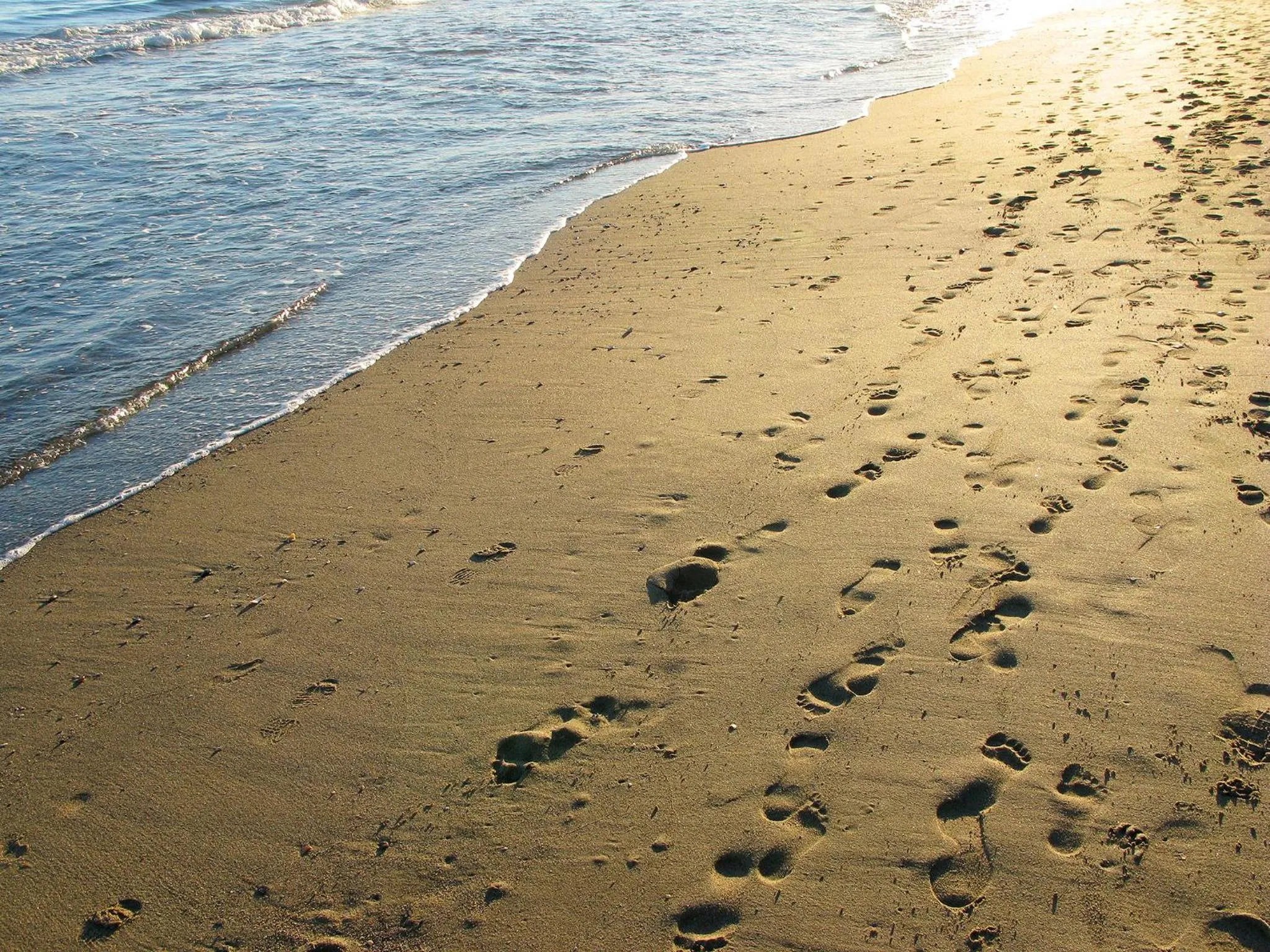 Beach in Hotel Finlandia