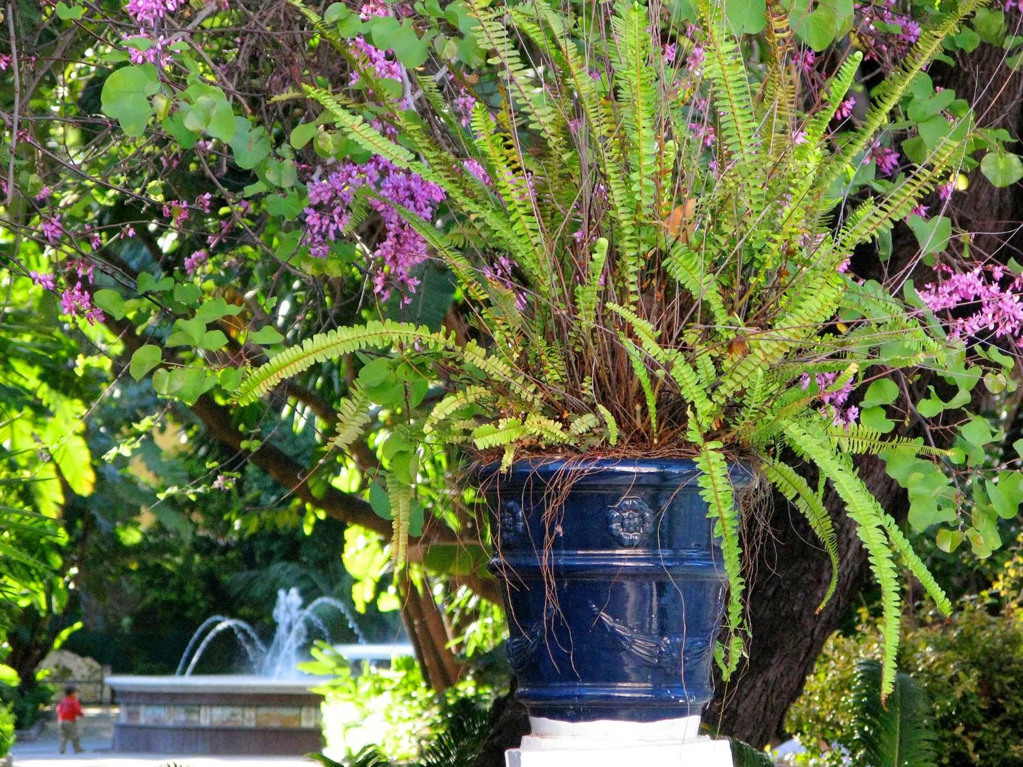 Other in Hotel Finlandia