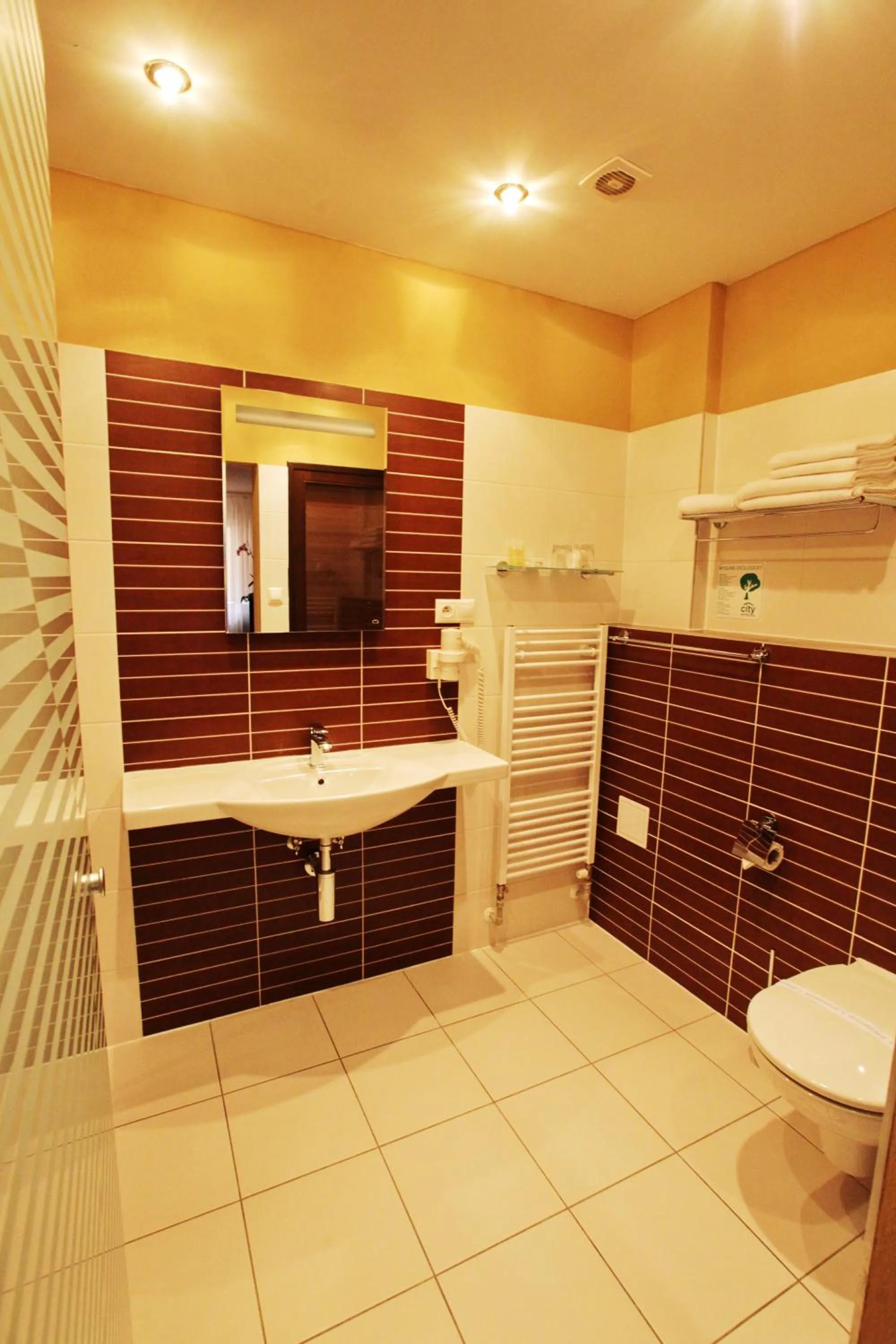 Shower in City Hotel Nitra with free parking