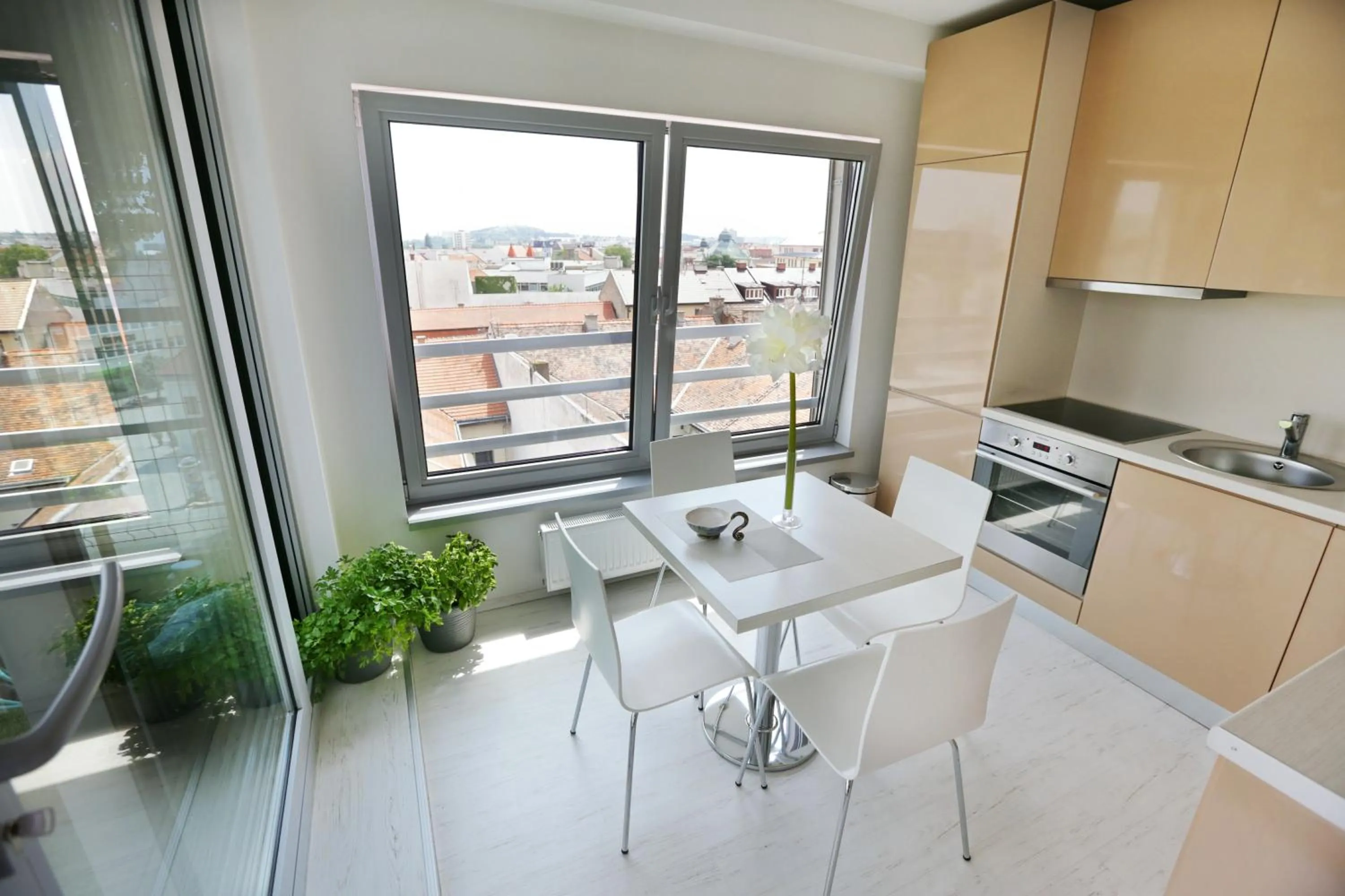 Kitchen or kitchenette in City Hotel Nitra with free parking