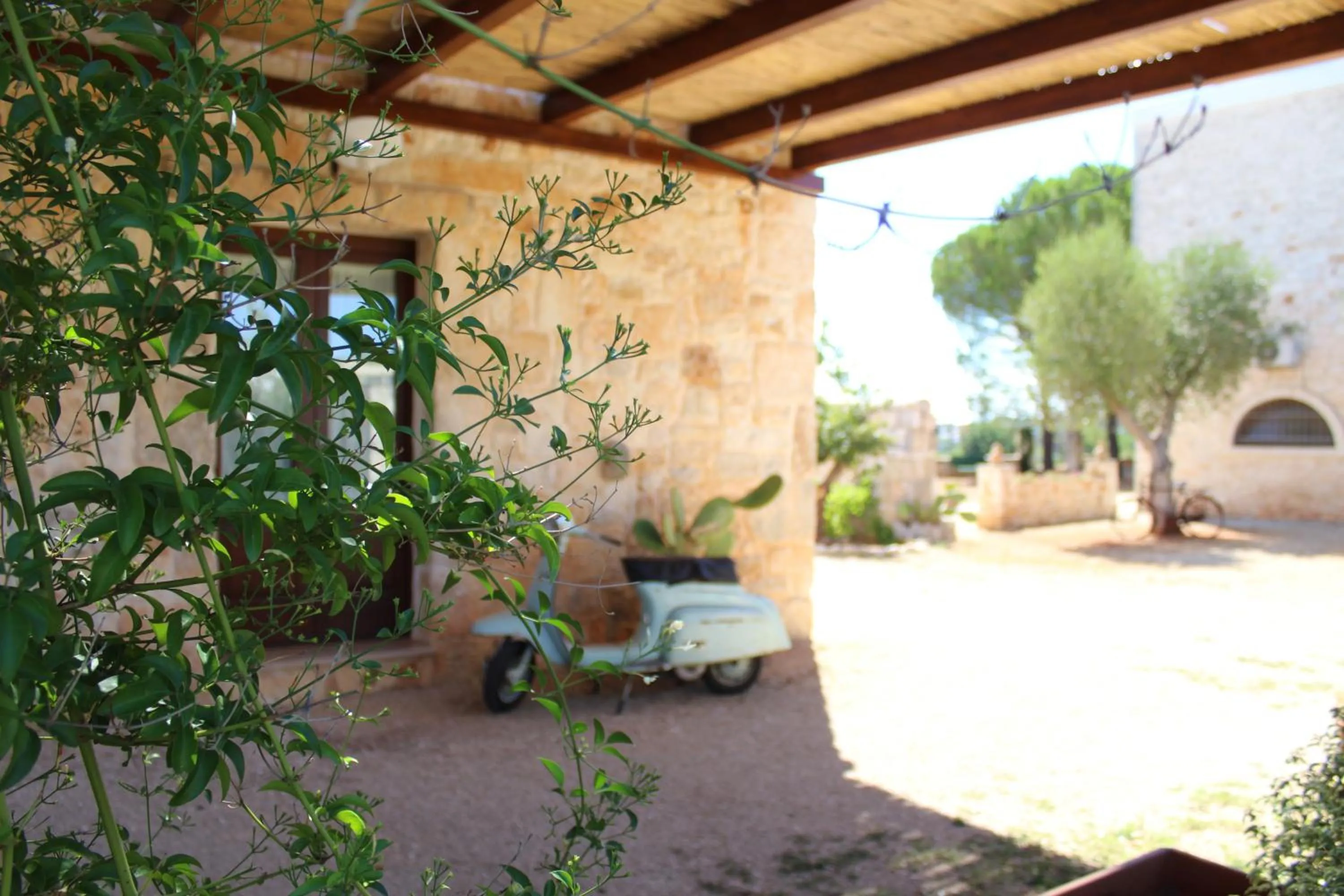 Property building in Masseria Tolla