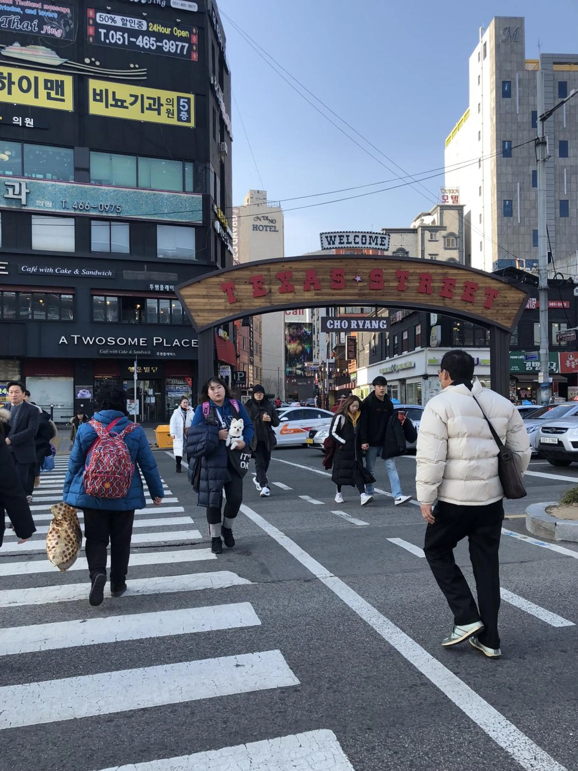 Property building in Dante House