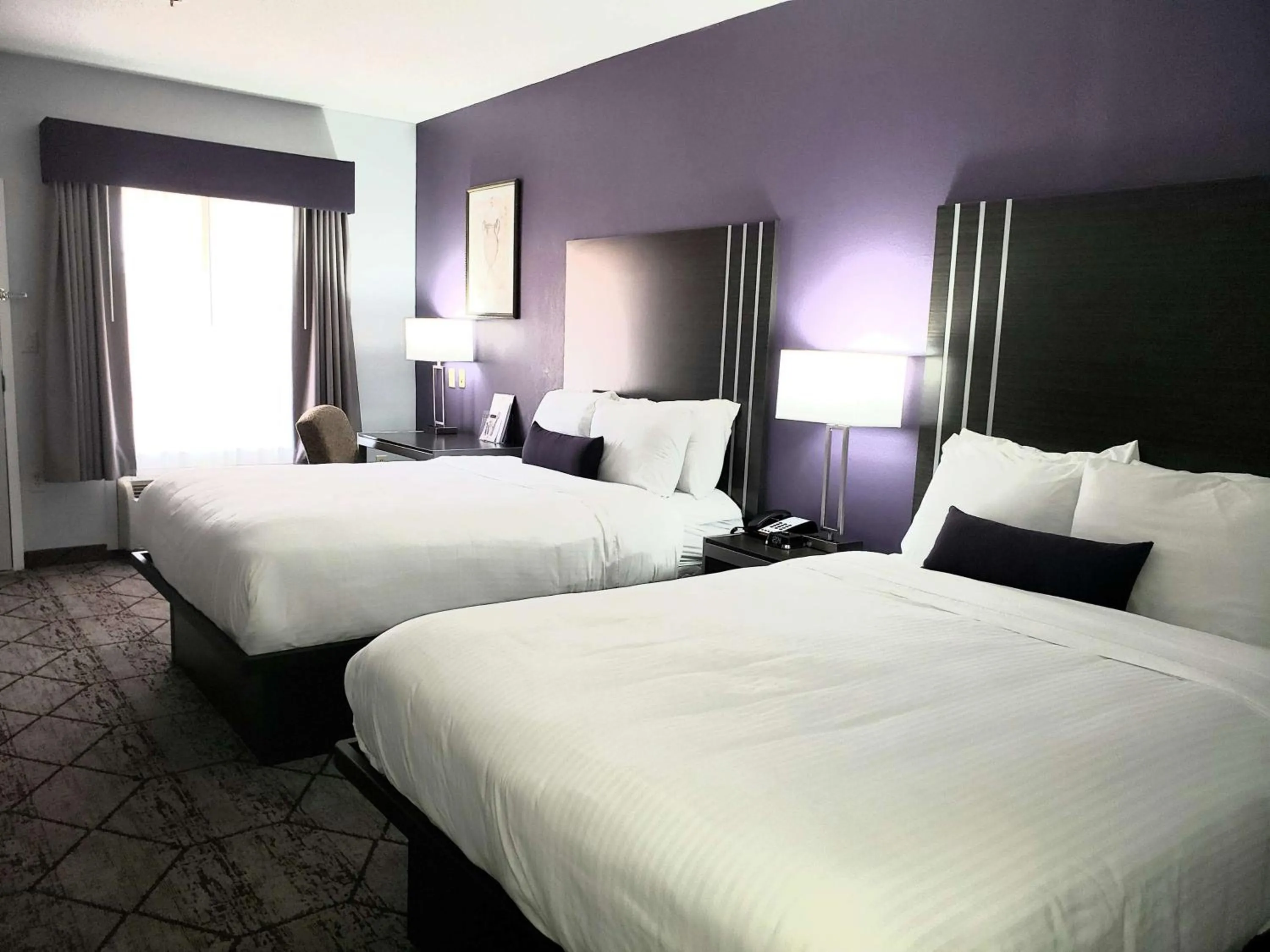 Photo of the whole room, Bed in SureStay Plus Hotel by Best Western Warner Robins AFB