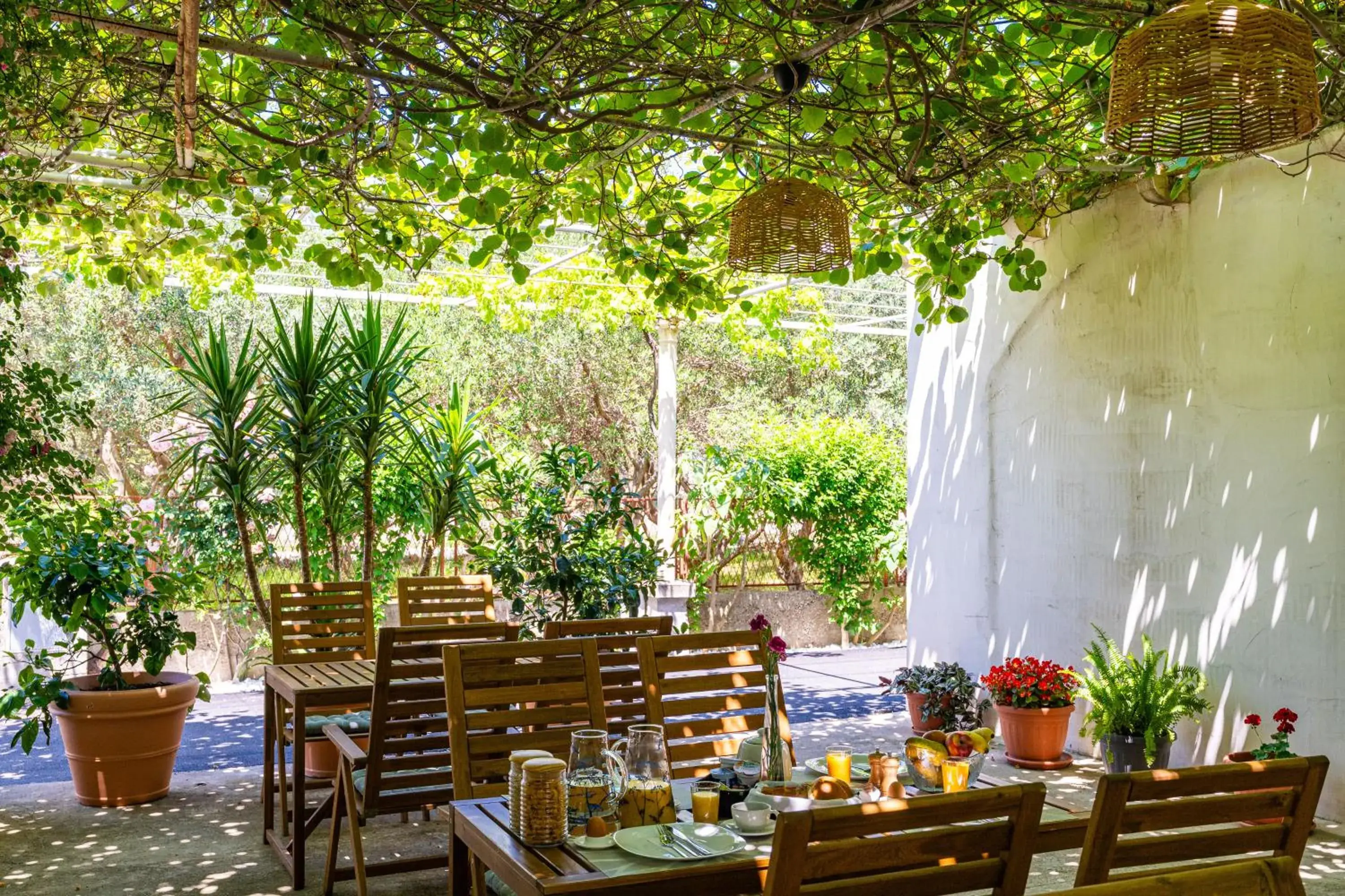 Francesca Guesthouse & Vardia Winery Francesca Guesthouse & Vardia Winery