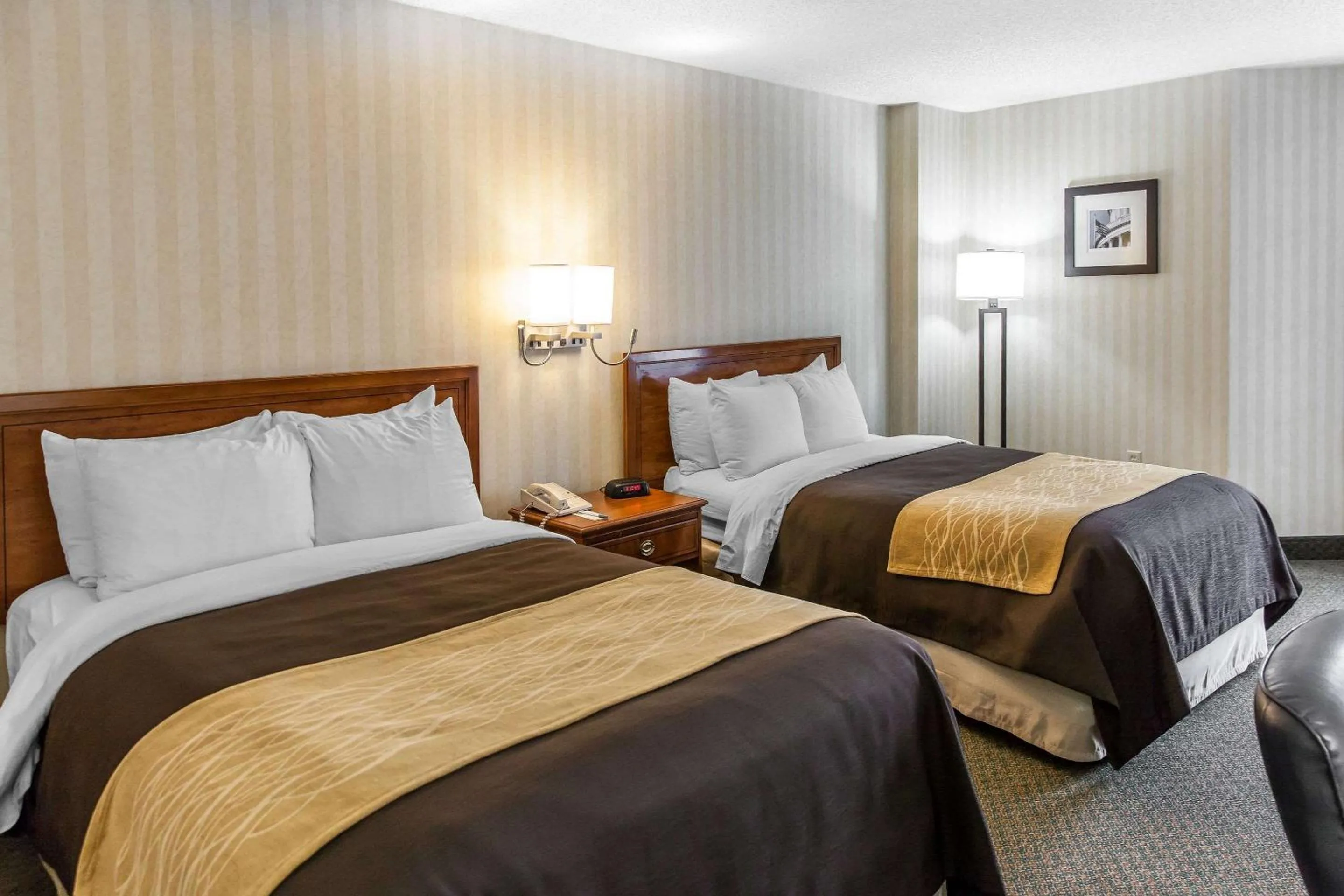 Bed in Comfort Inn Pentagon City