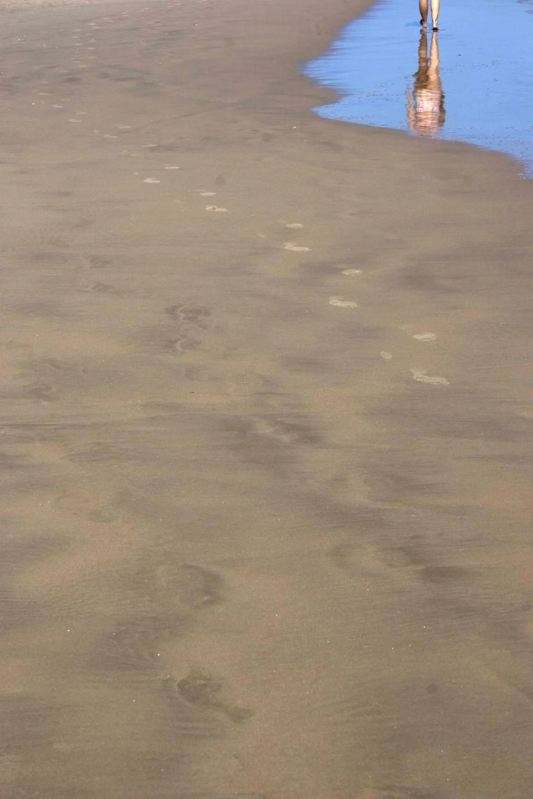 Area and facilities in Apartamentos Turisticos Biarritz - Bloque I