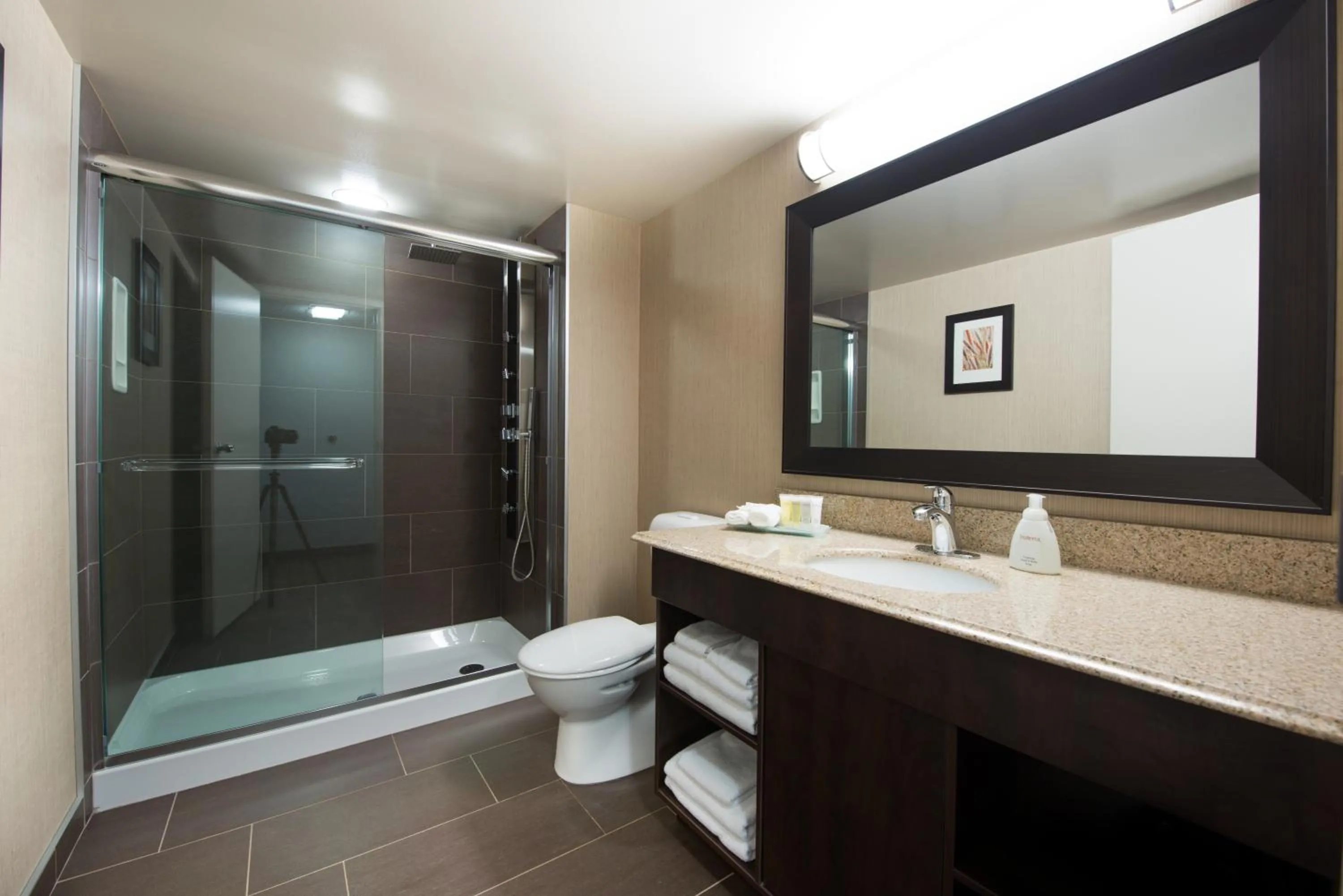 Bathroom in Victoria Inn Hotel & Convention Centre Brandon