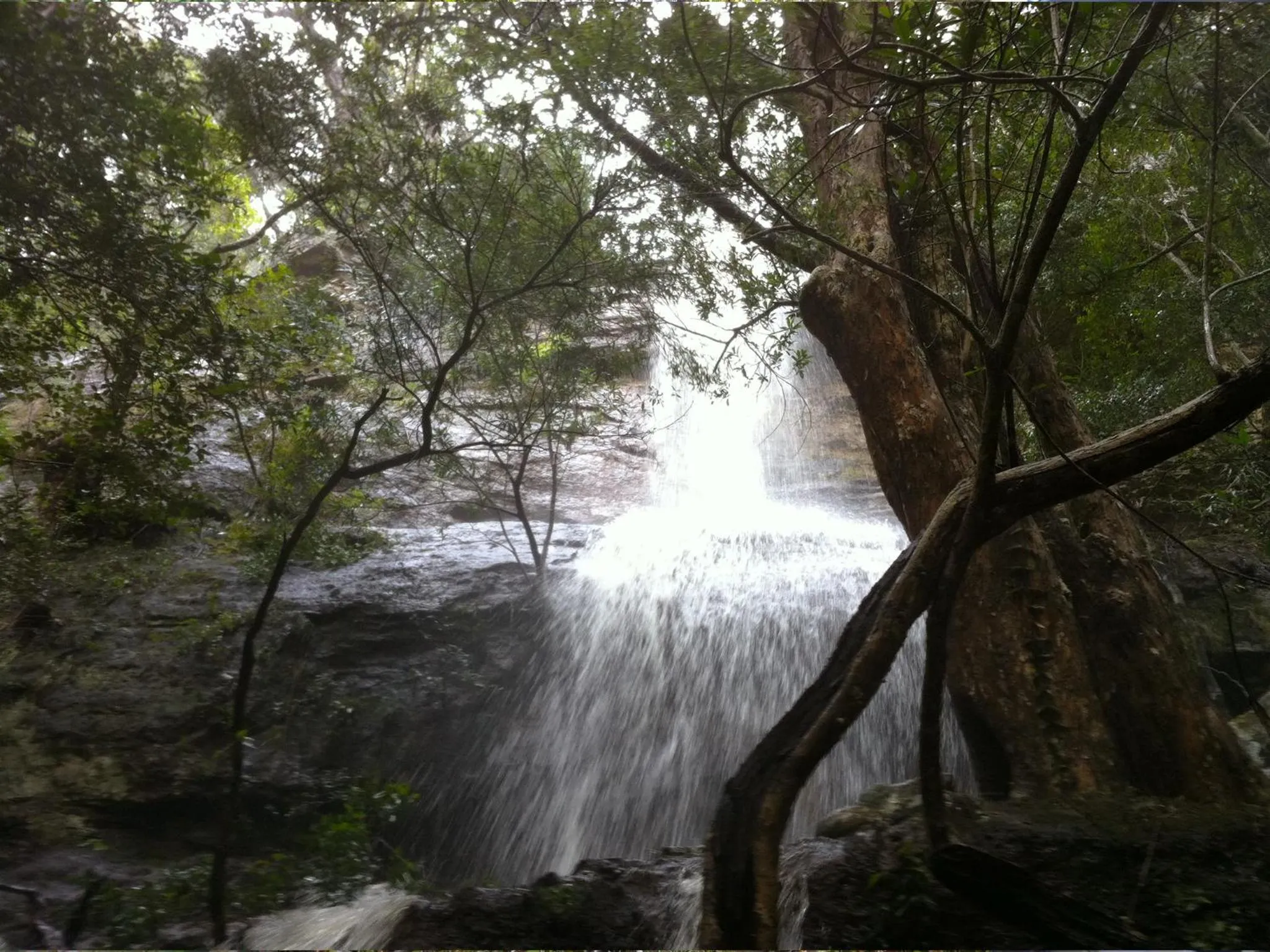 Natural landscape in Sinclairs Country Retreat - Adults Only