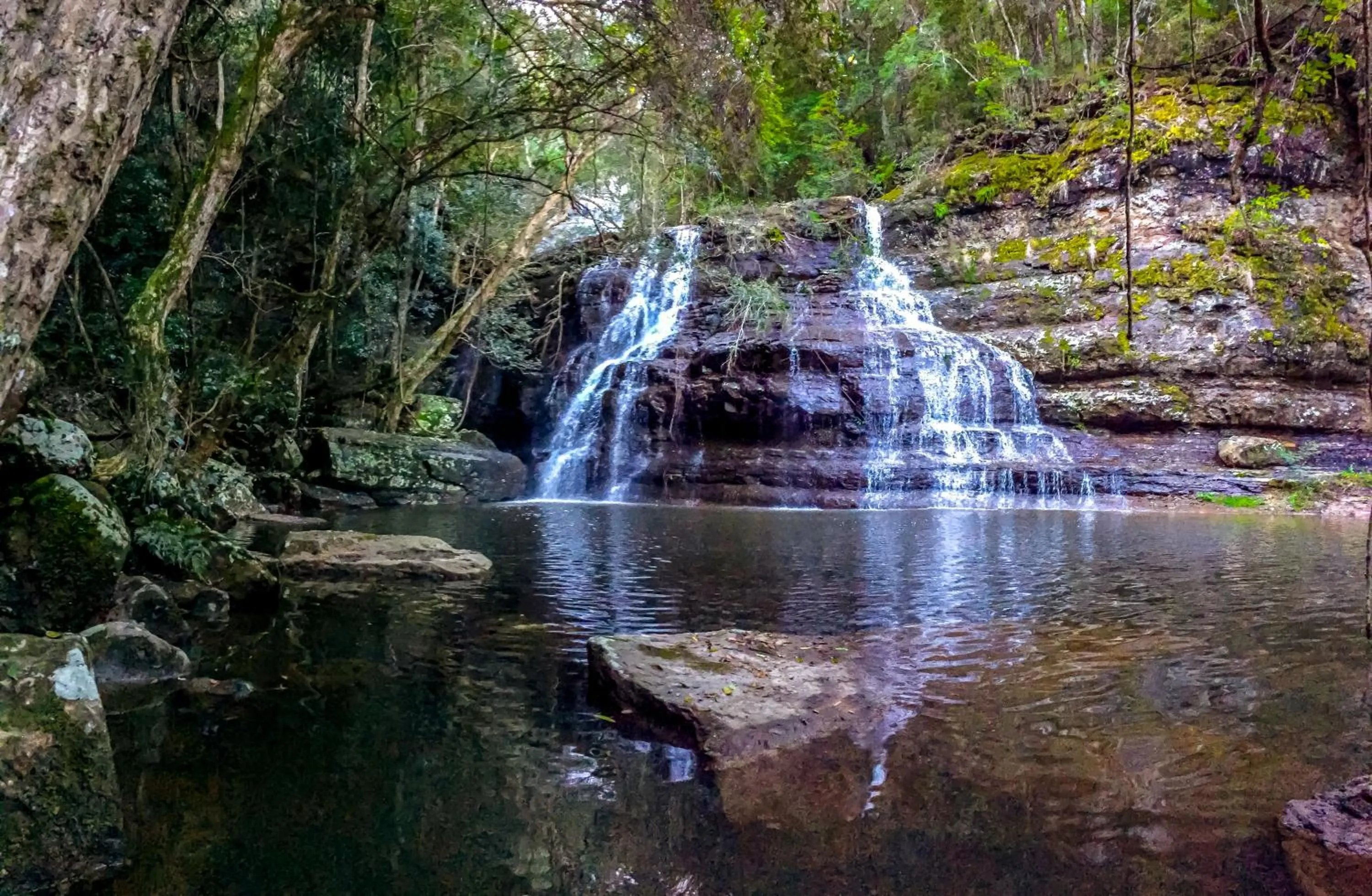 Garden in Sinclairs Country Retreat - Adults Only