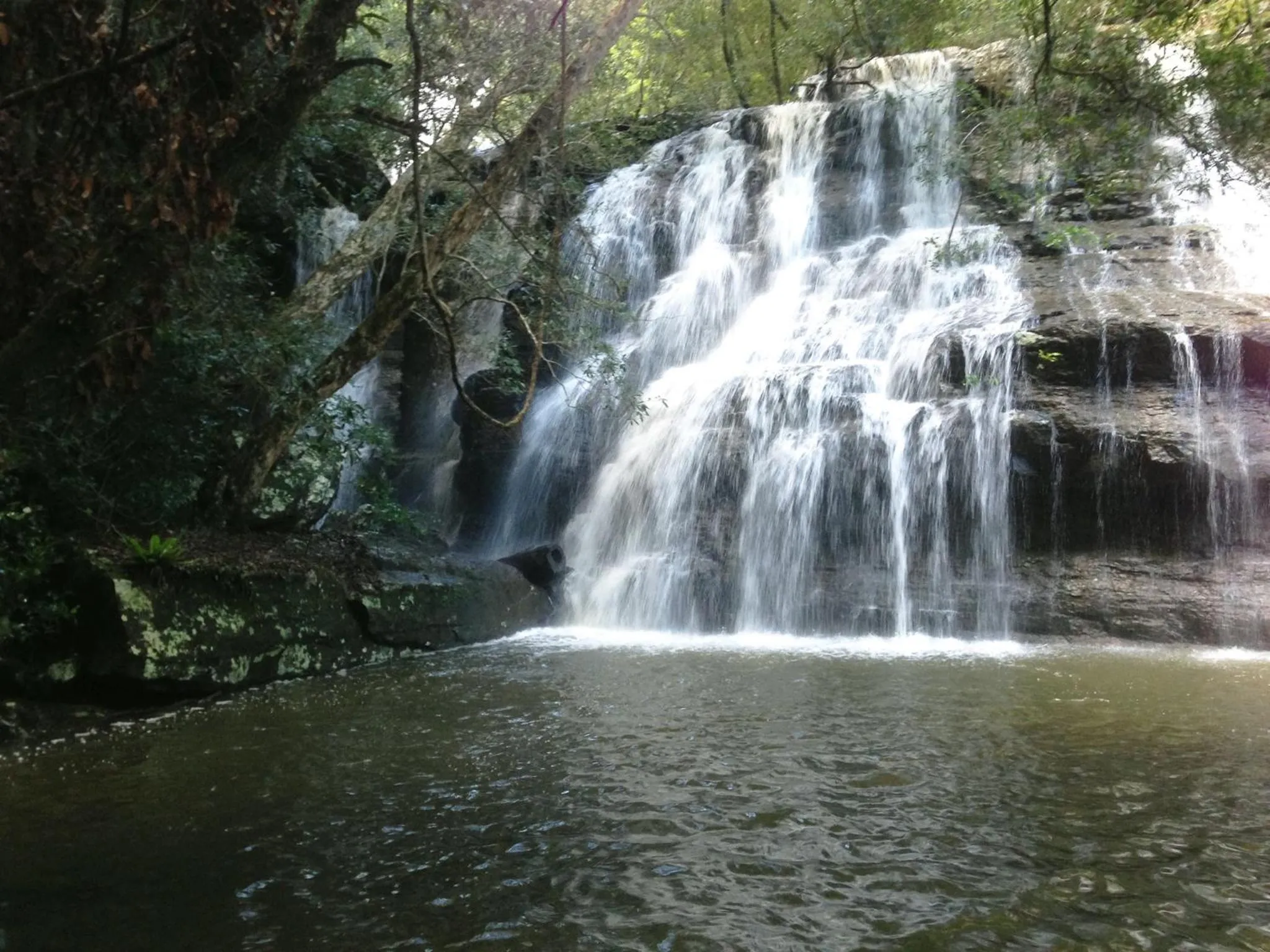 Natural landscape in Sinclairs Country Retreat - Adults Only