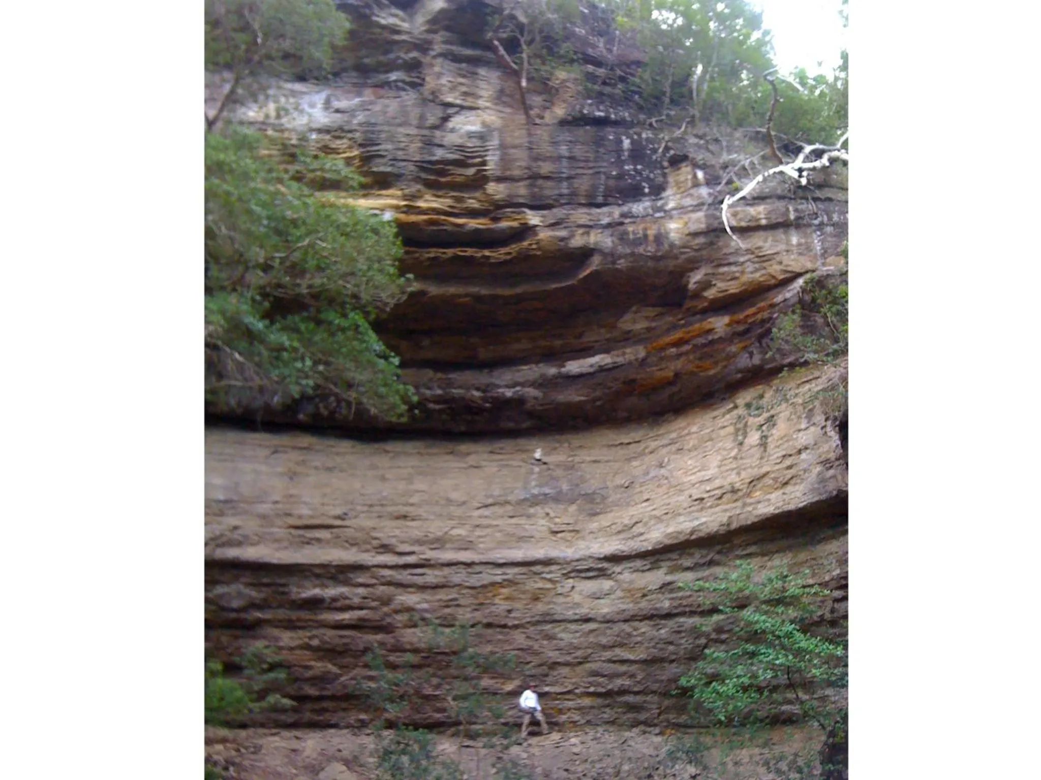 Natural landscape in Sinclairs Country Retreat - Adults Only