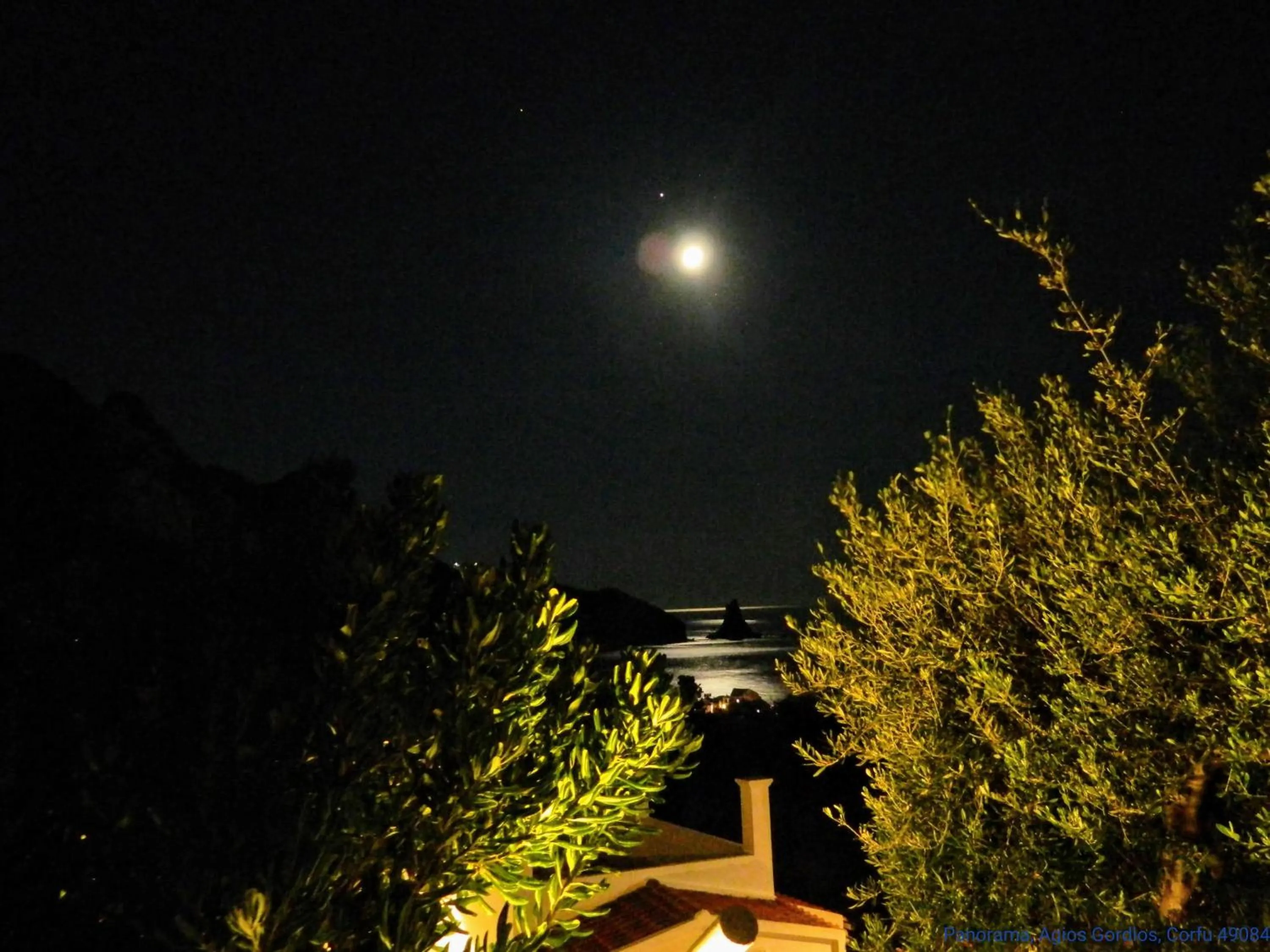 Garden in Panorama apartments