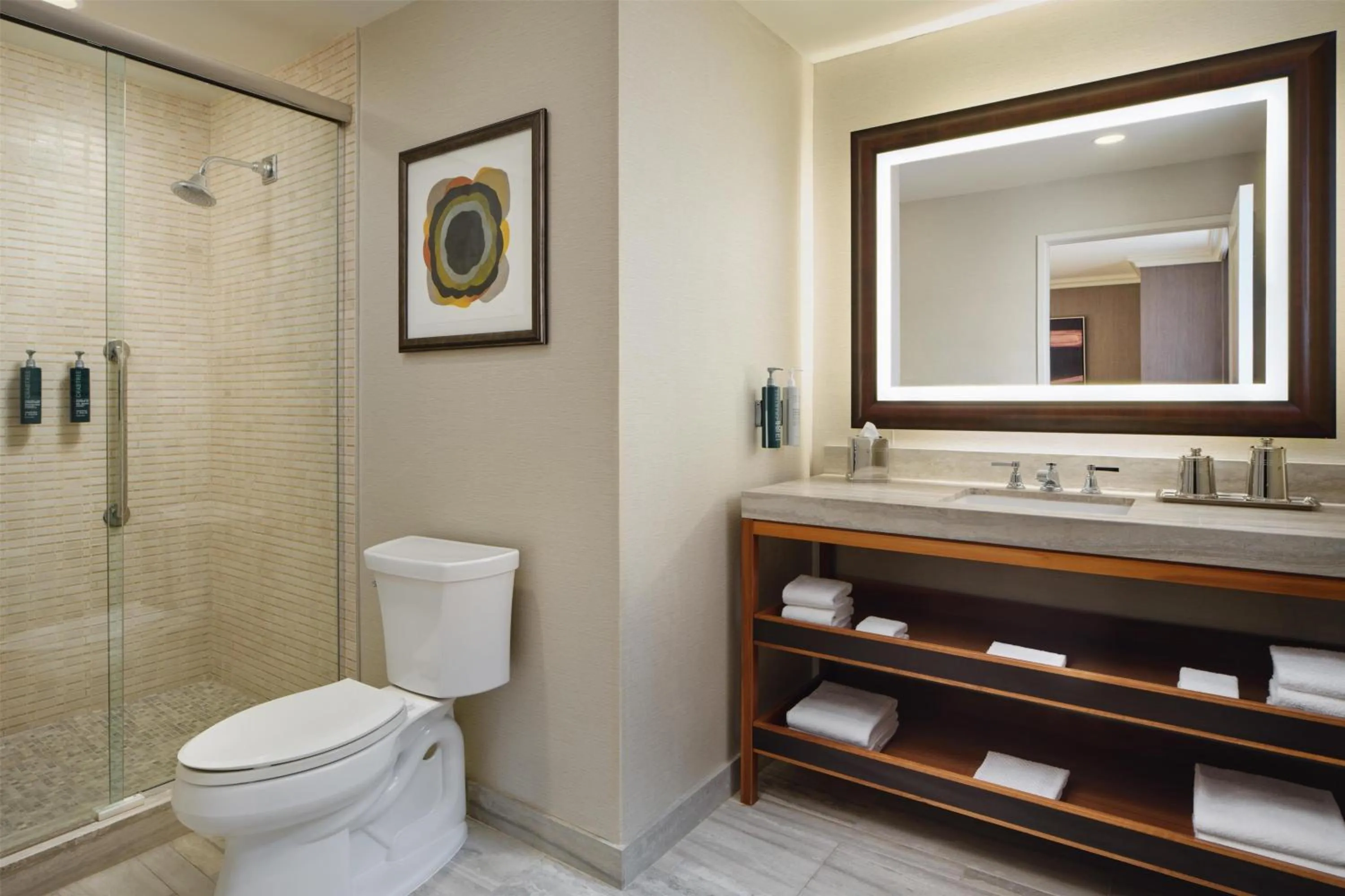 Bathroom in Hilton Chicago