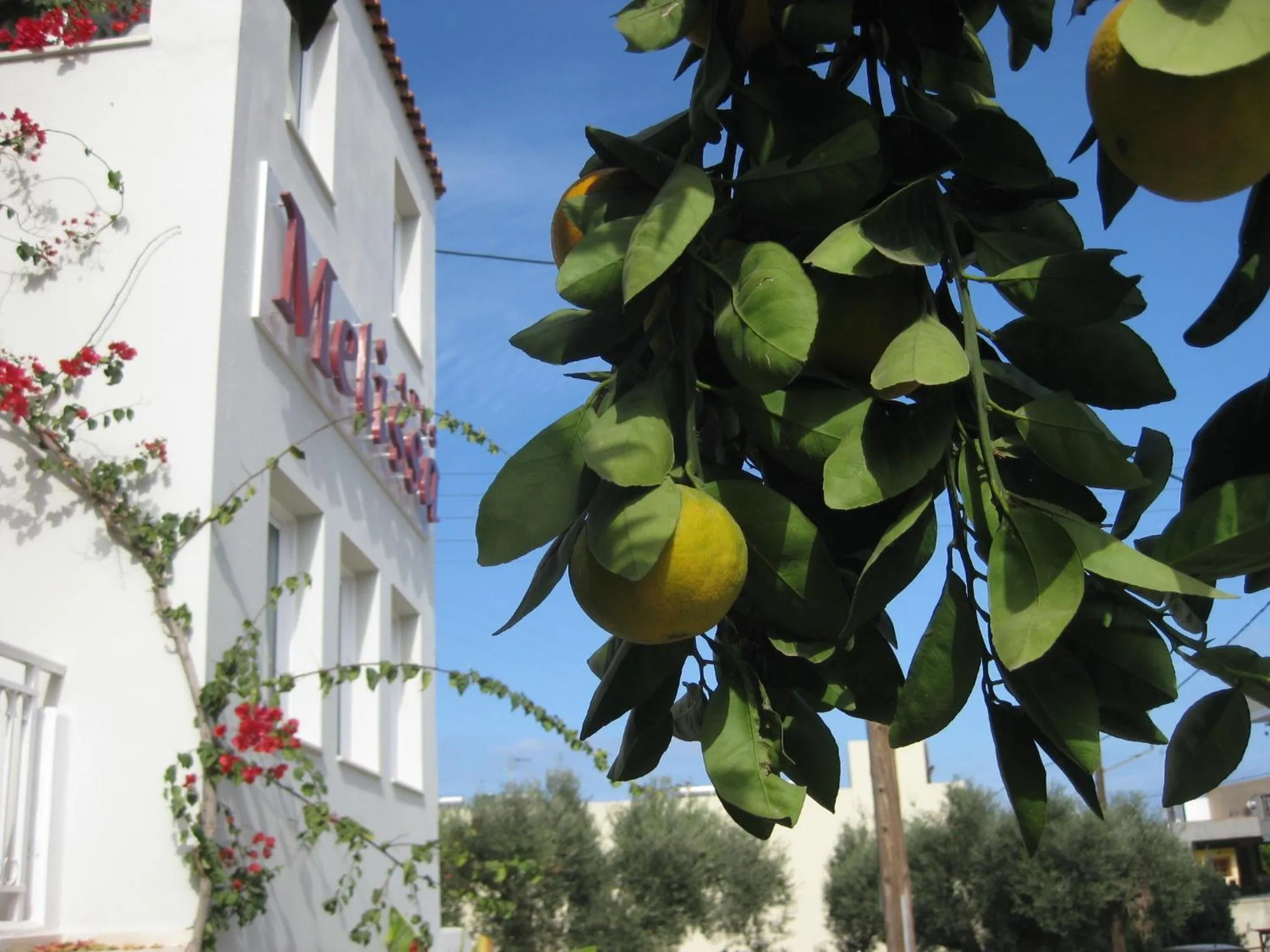 Property building in Melissa Apartments, Studios & Suites