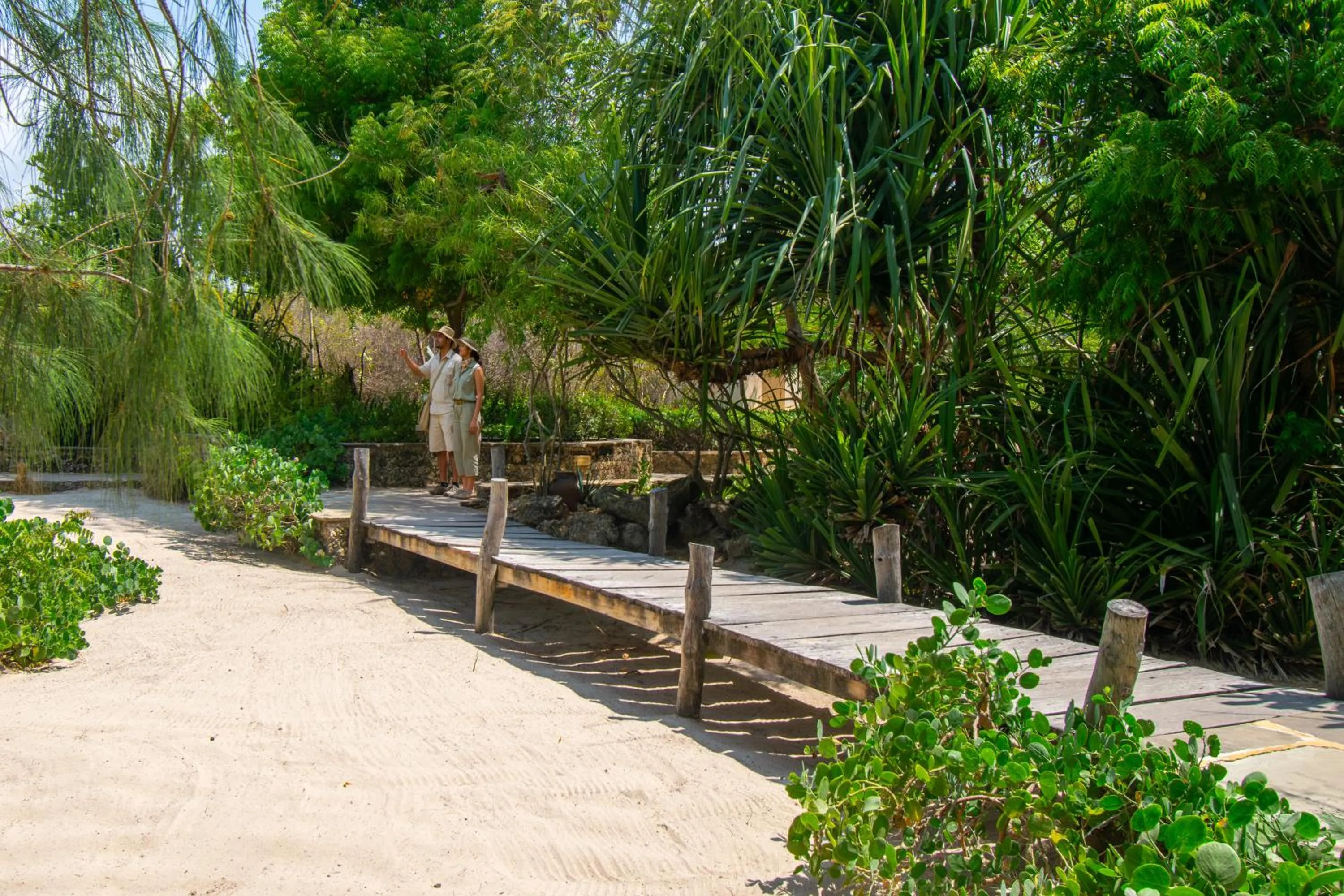 Natural landscape in The Charming Lonno Lodge Watamu