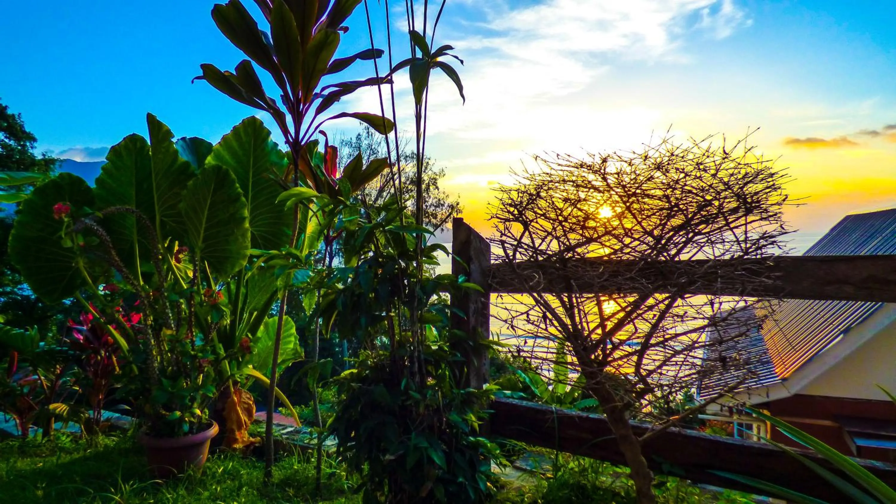 Garden in Mouggae Blues Villas