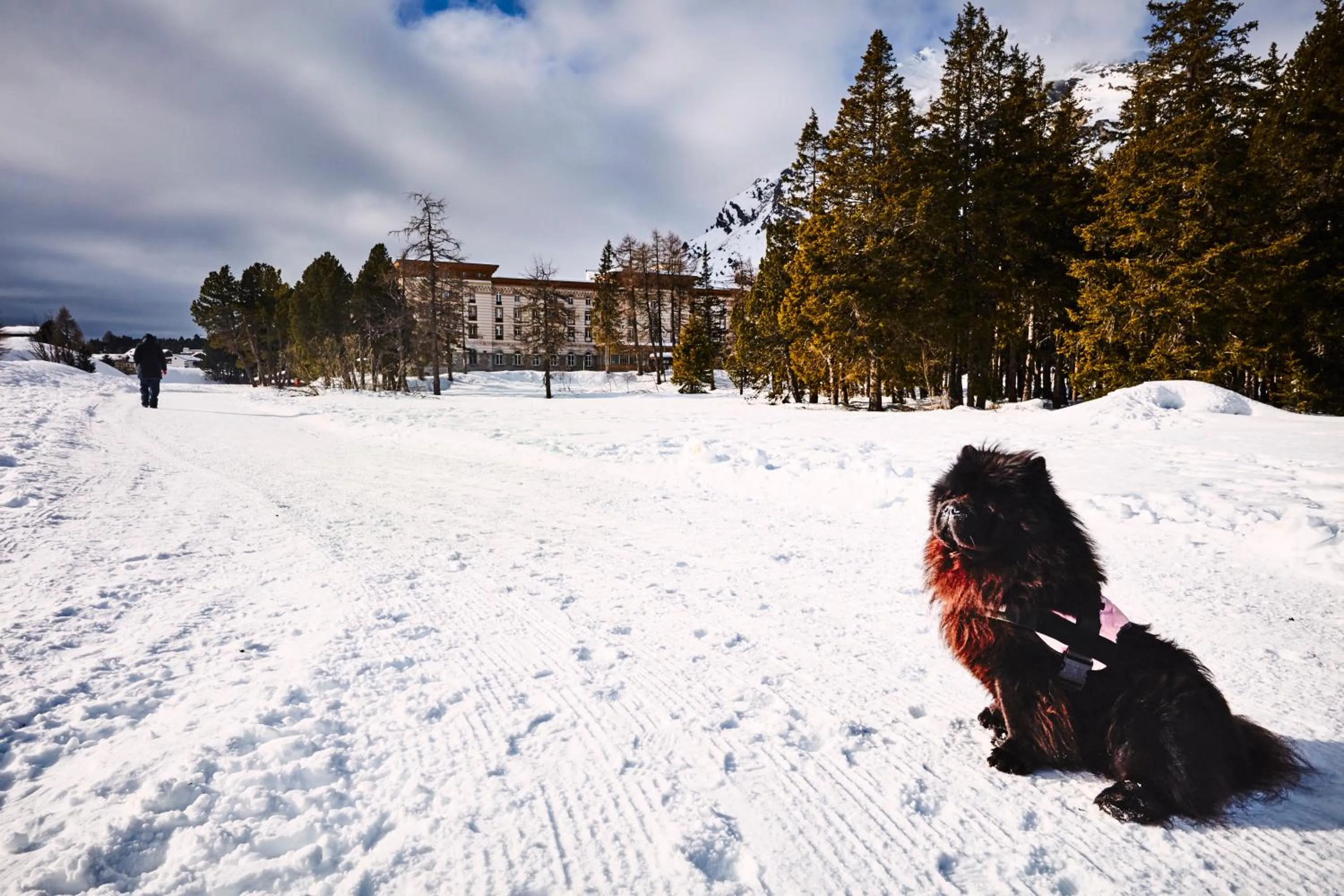 Mountain view in Maloja Palace Suites CO2-Neutral