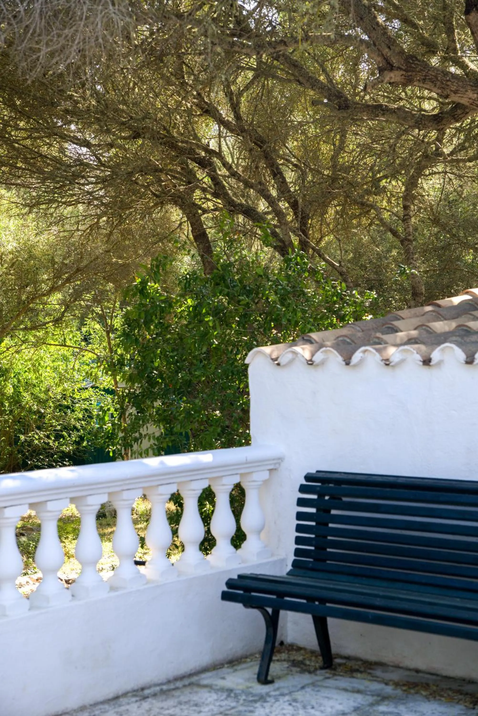 Day in Agroturismo Binissafullet Vell