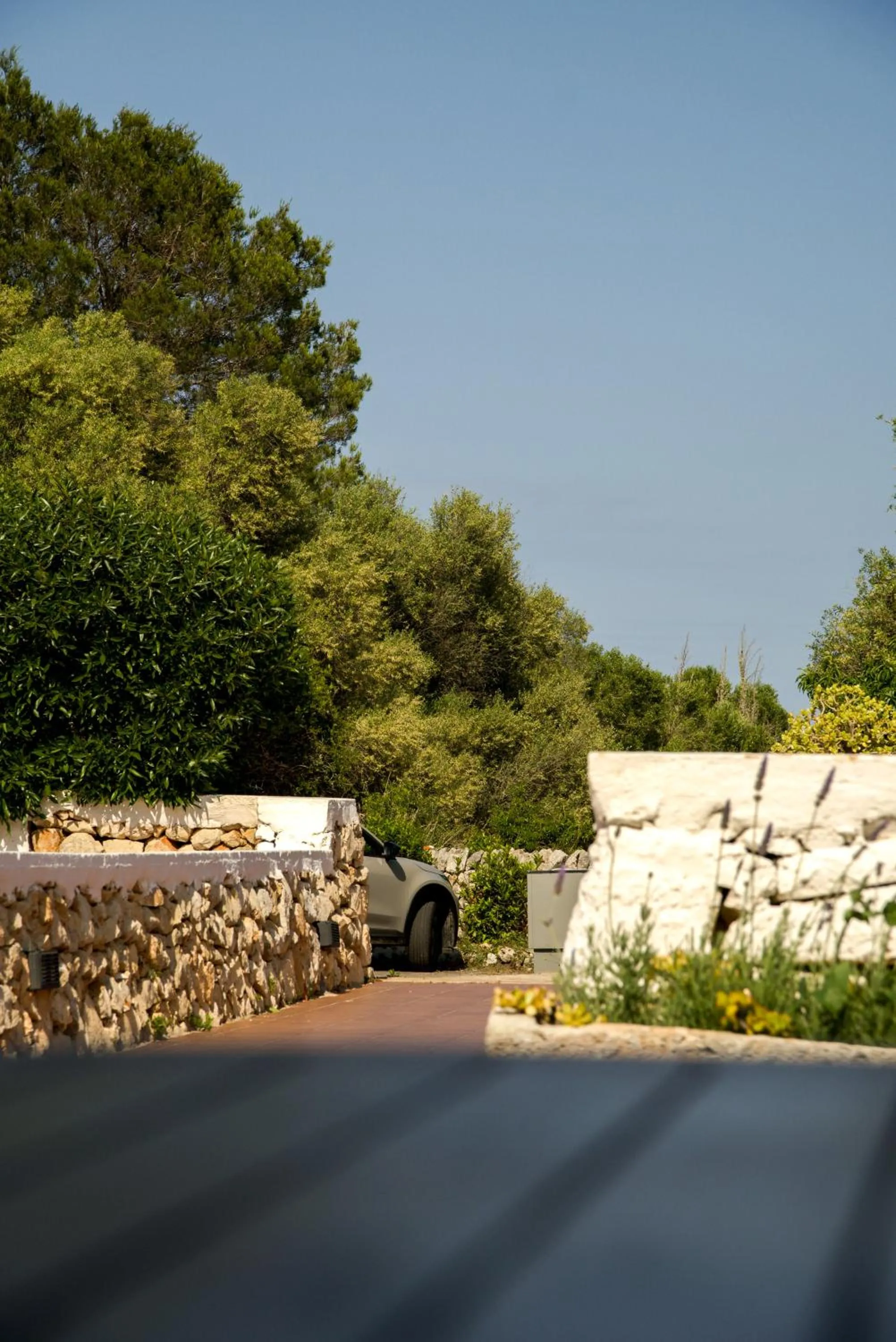 Day in Agroturismo Binissafullet Vell