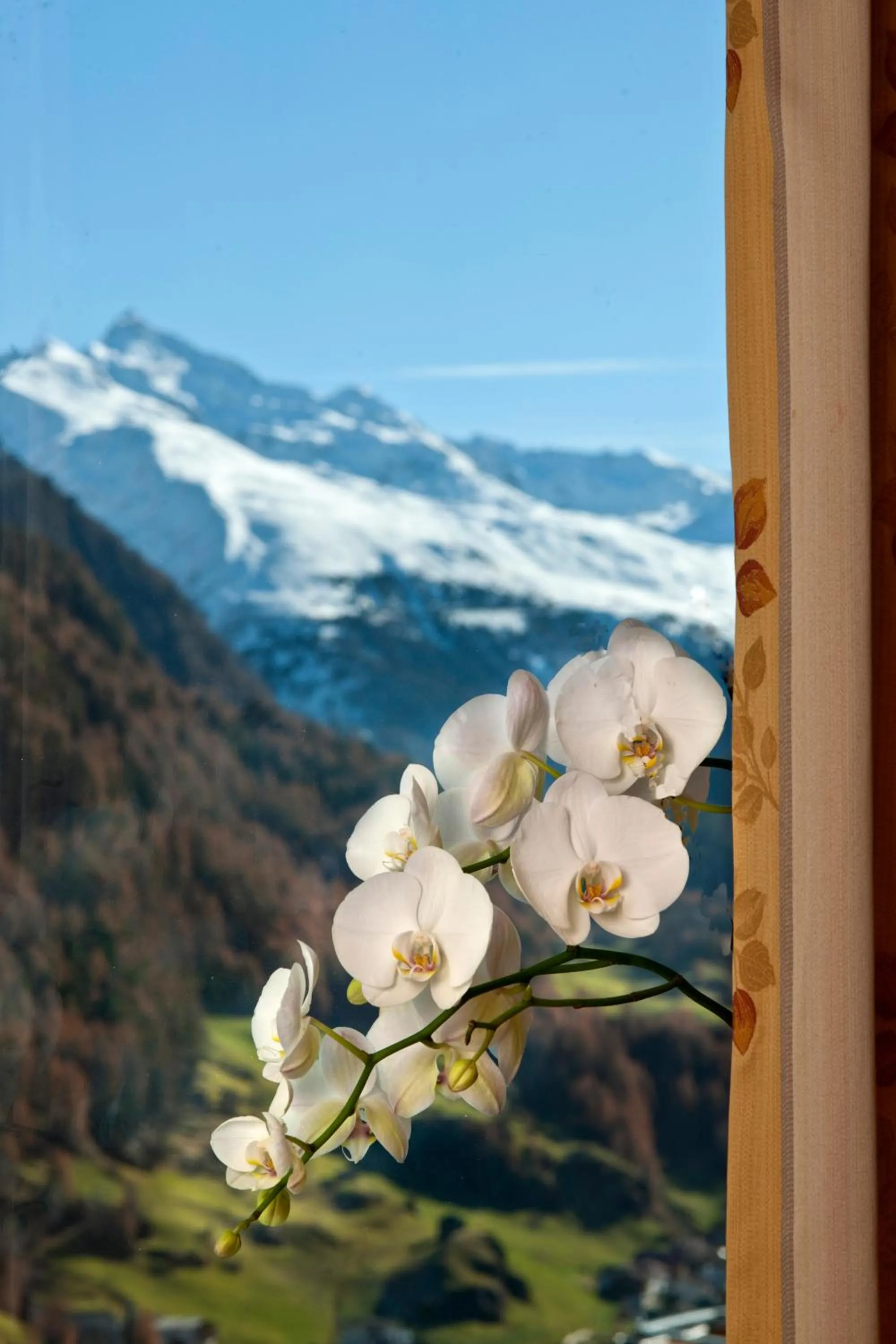 Alp Resort Tiroler Adler