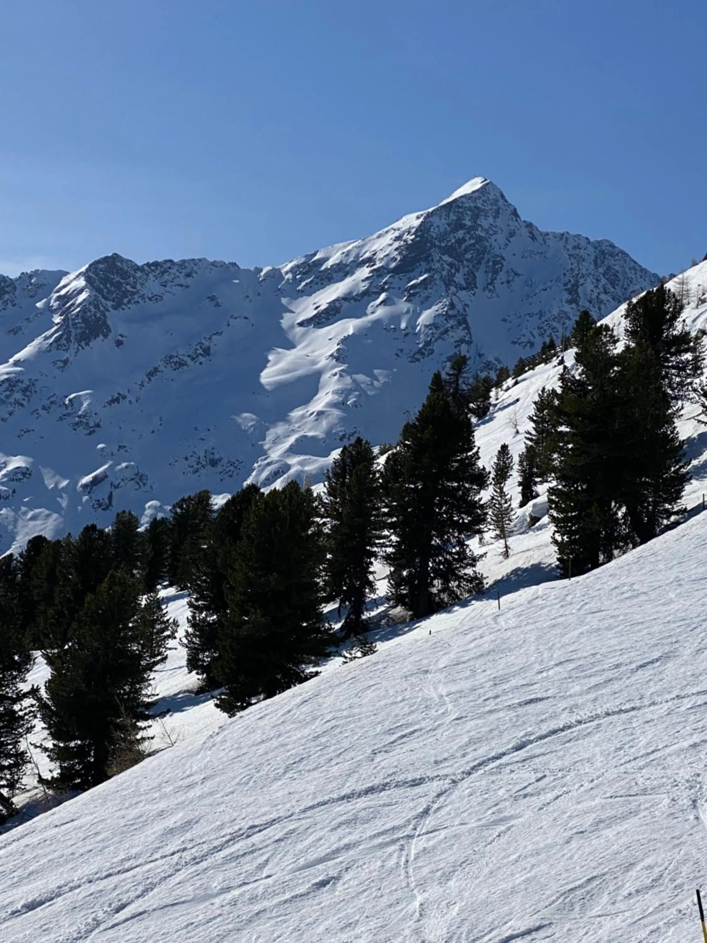 Alp Resort Tiroler Adler