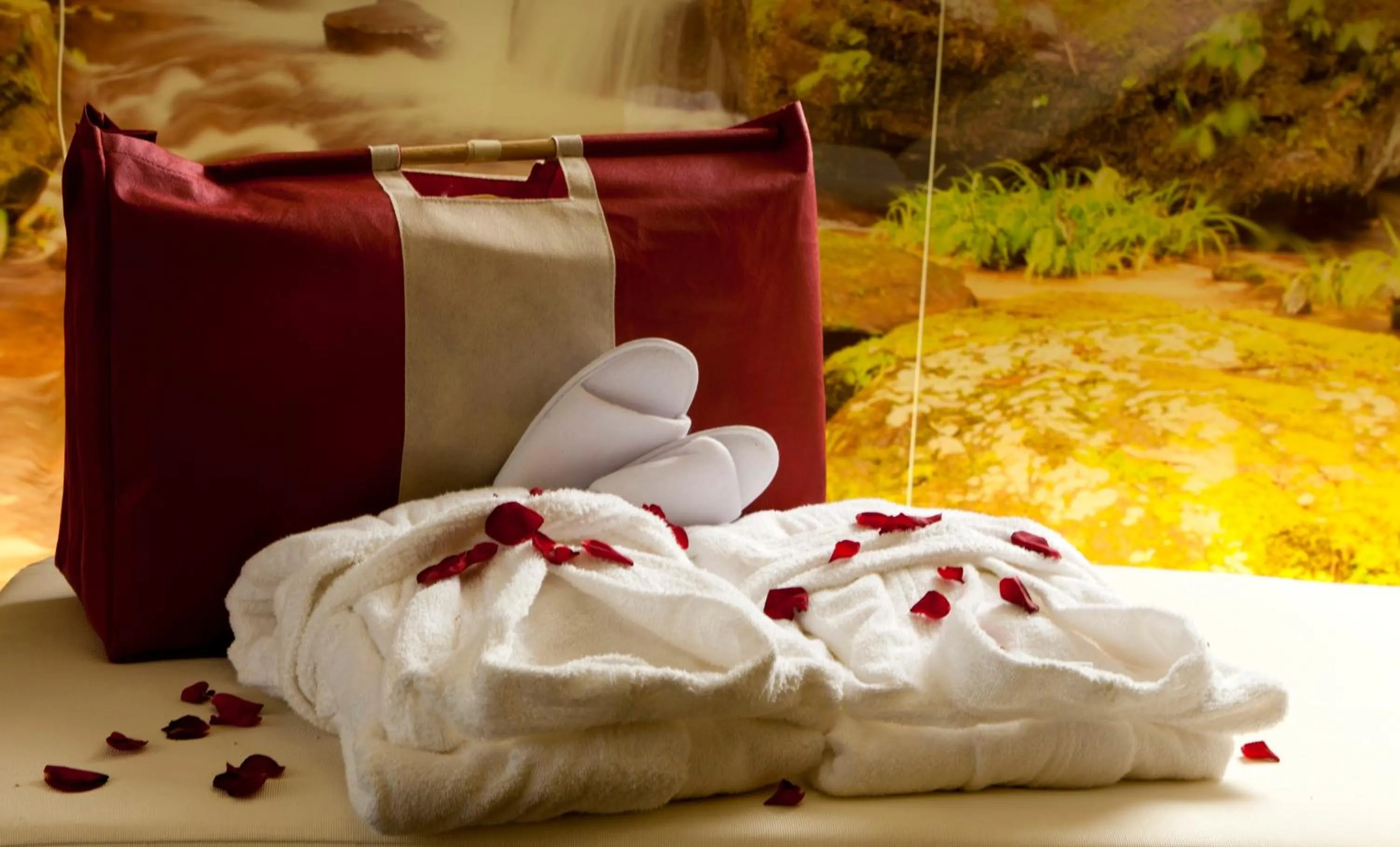 Alp Resort Tiroler Adler