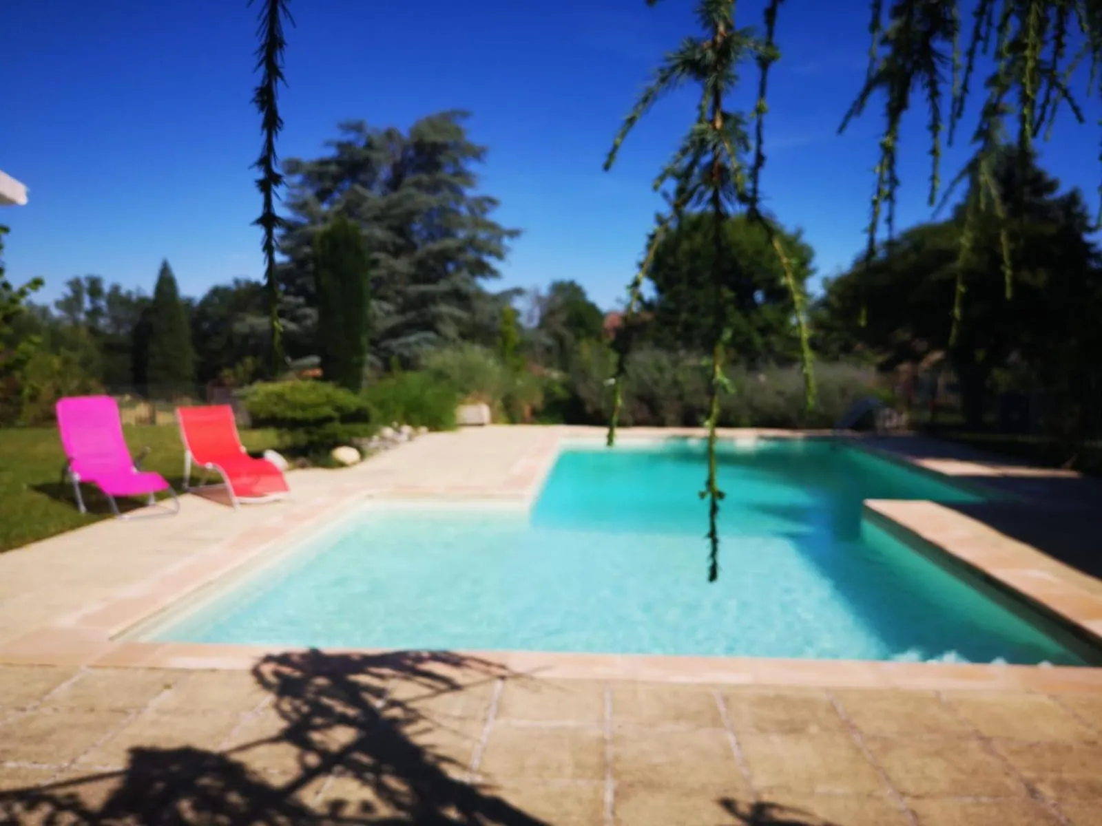 Swimming pool in La Morgiane