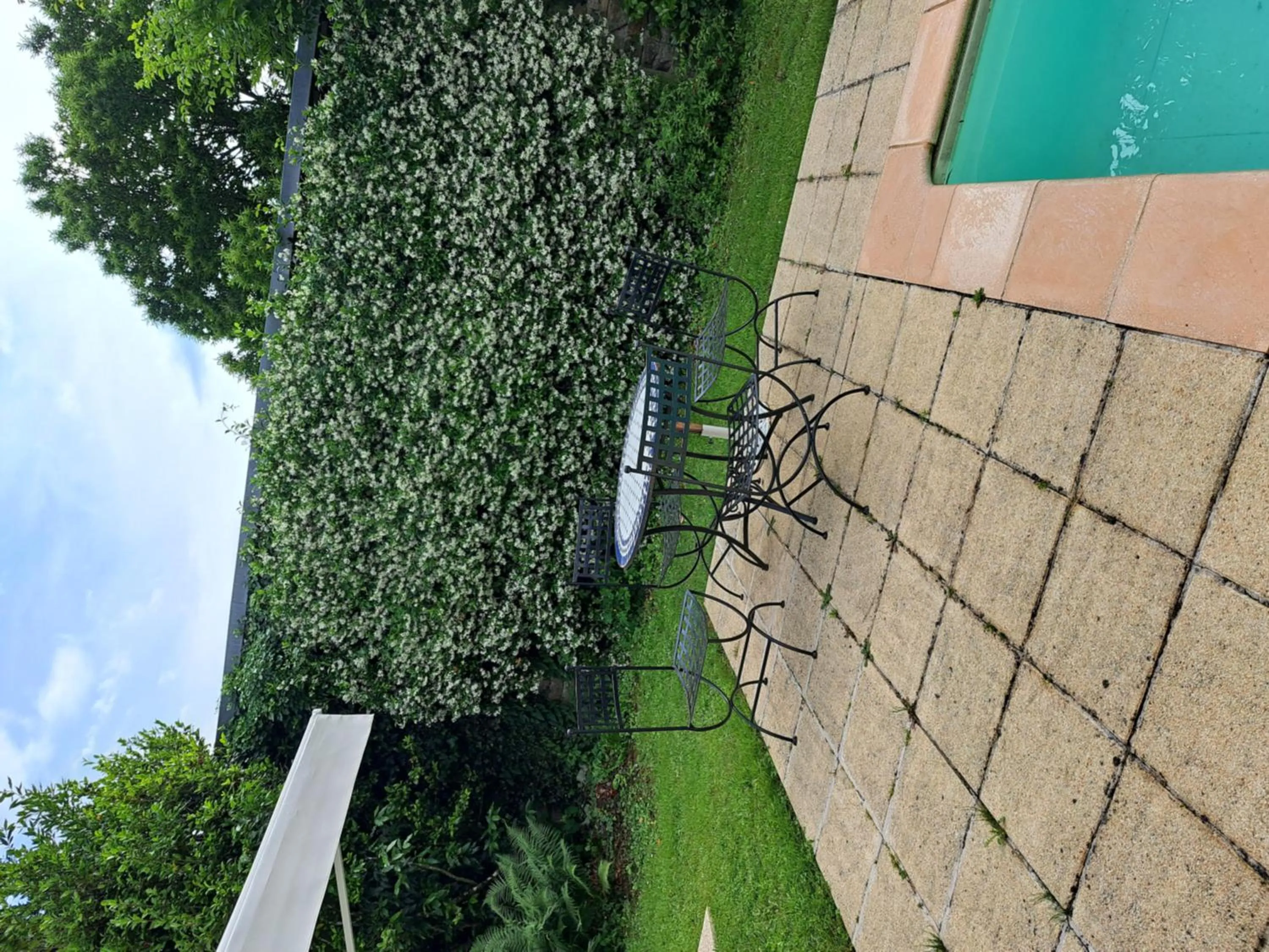 Swimming pool in La Morgiane