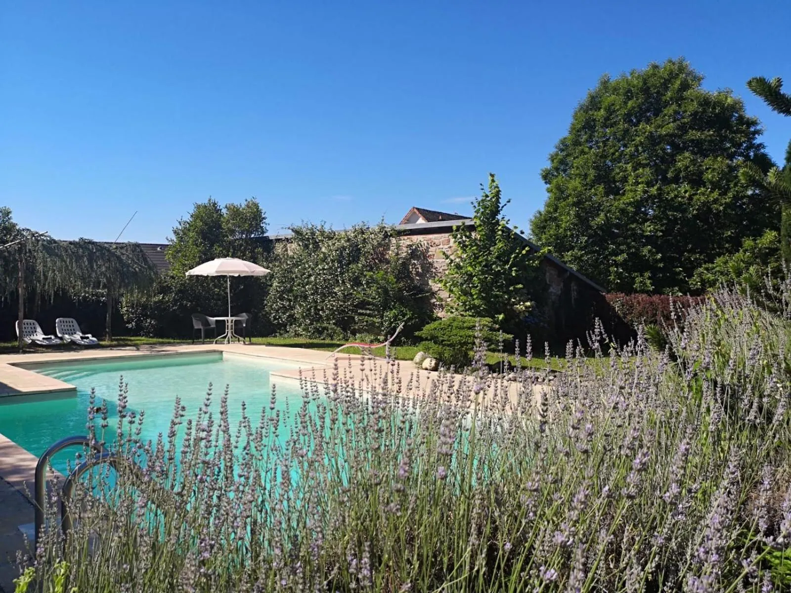 Swimming pool in La Morgiane