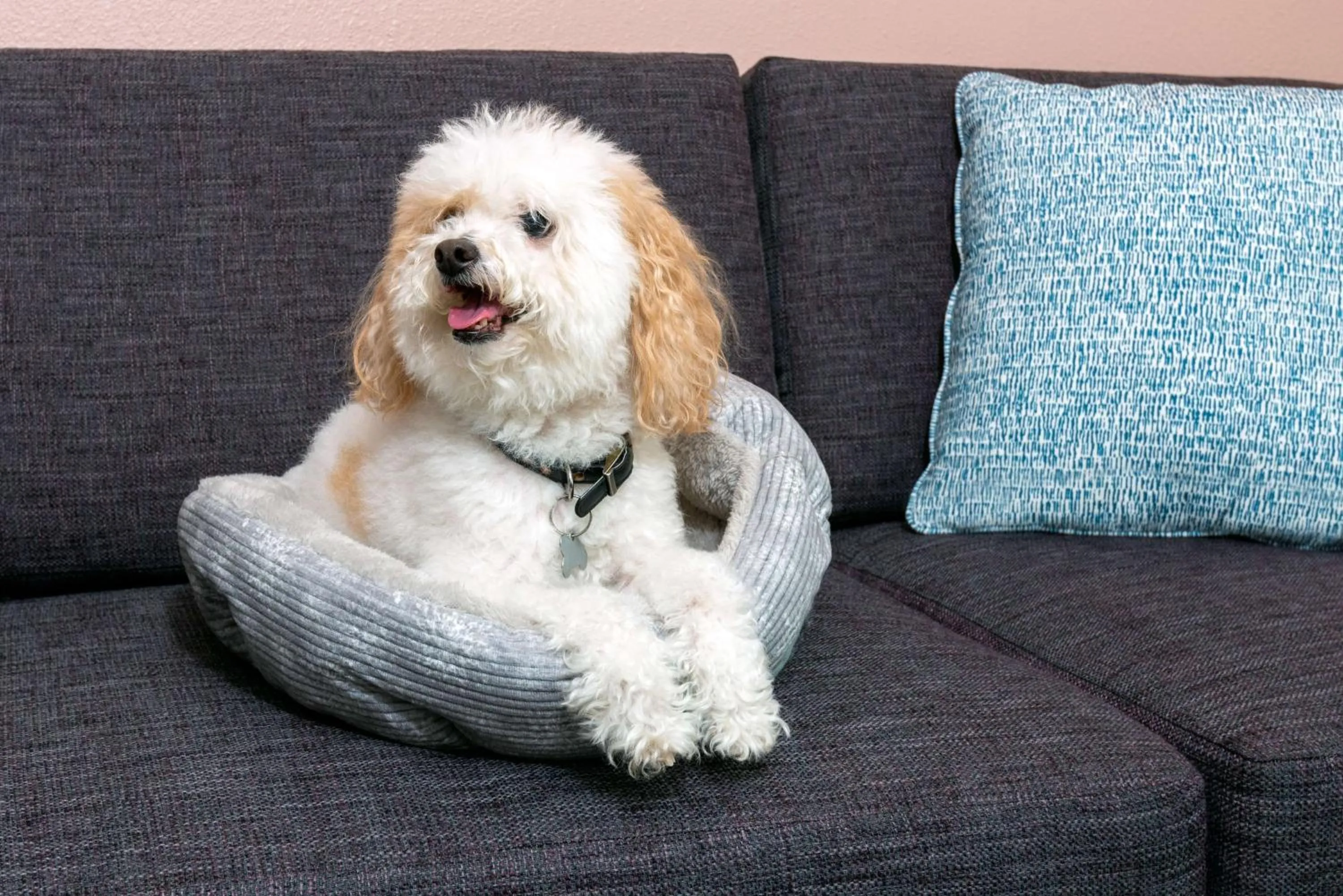 Other in Hilton Garden Inn Orlando International Drive North