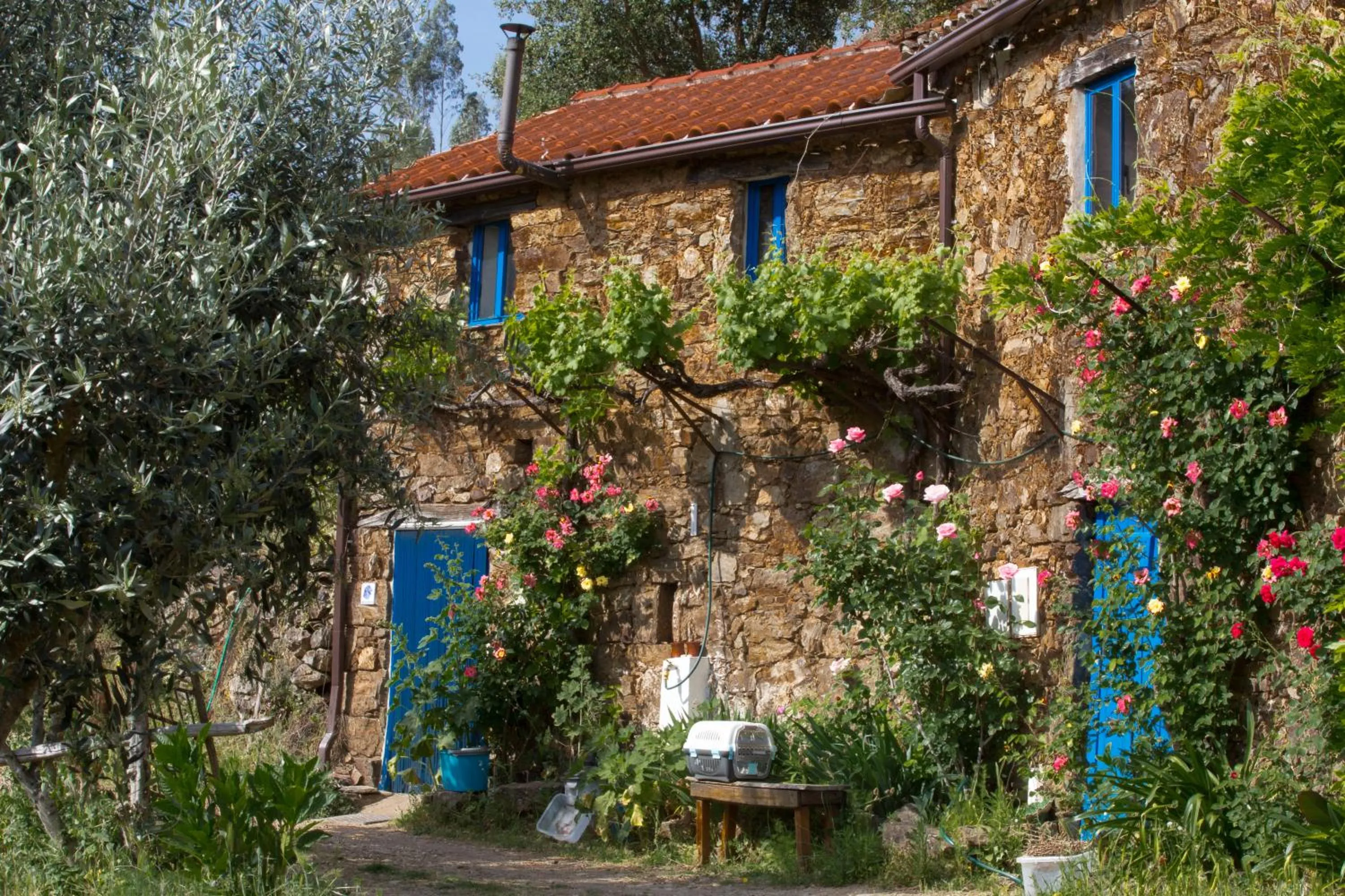 Guest Room Agro-turismo Quinta da Fonte Bed&Breakfast