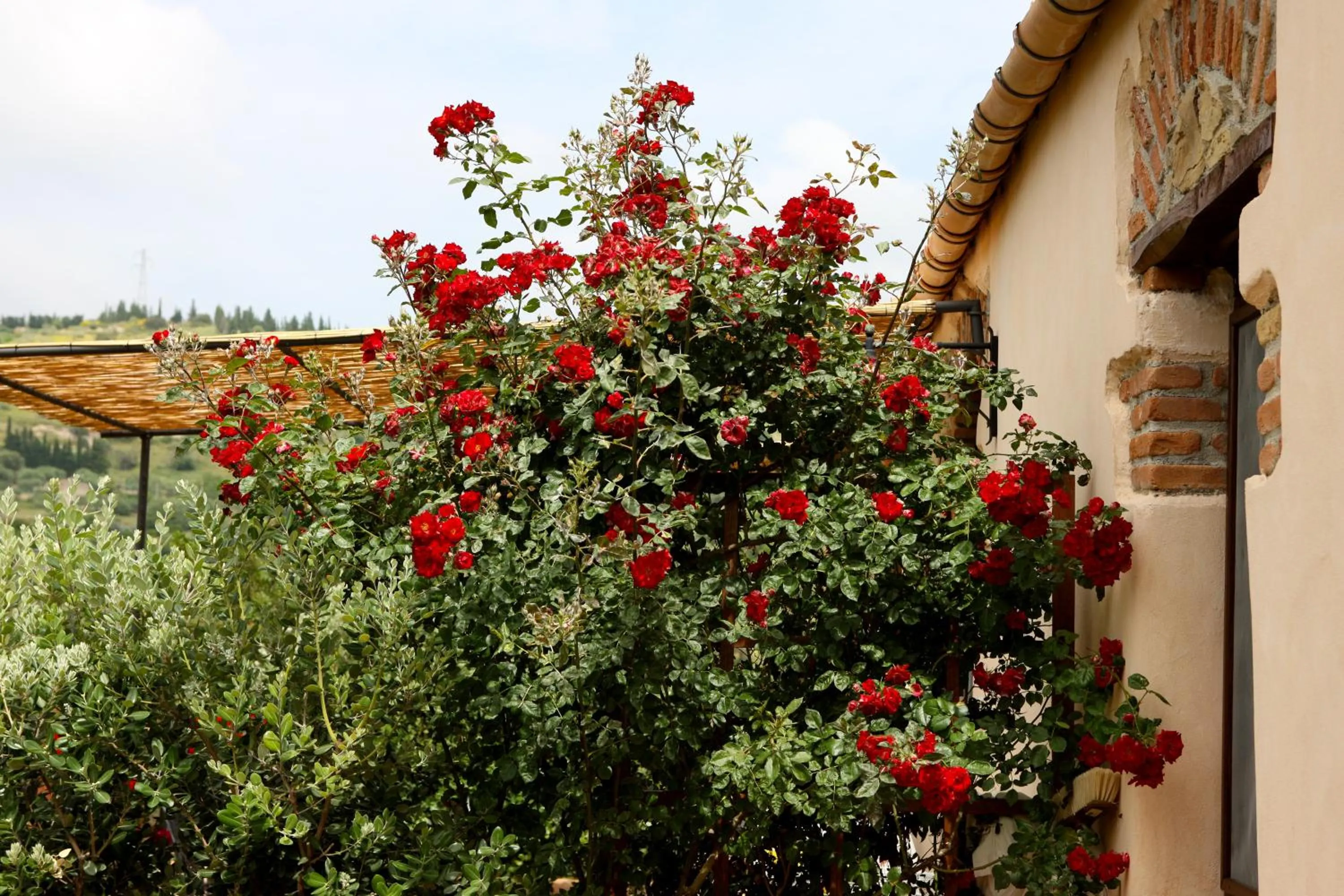 Property building in Poggio Pozzetti